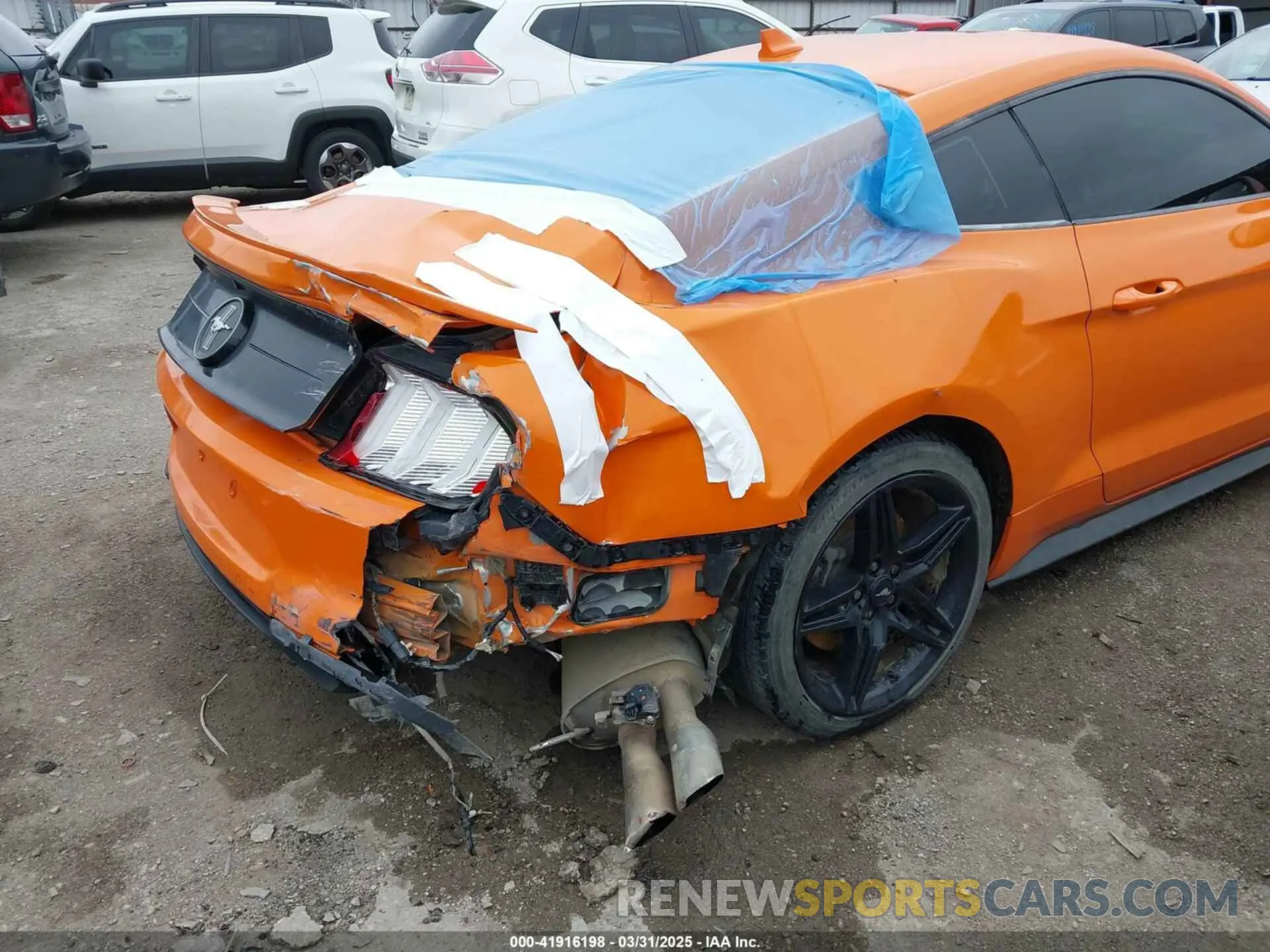 12 Photograph of a damaged car 1FA6P8TD5M5151336 FORD MUSTANG 2021