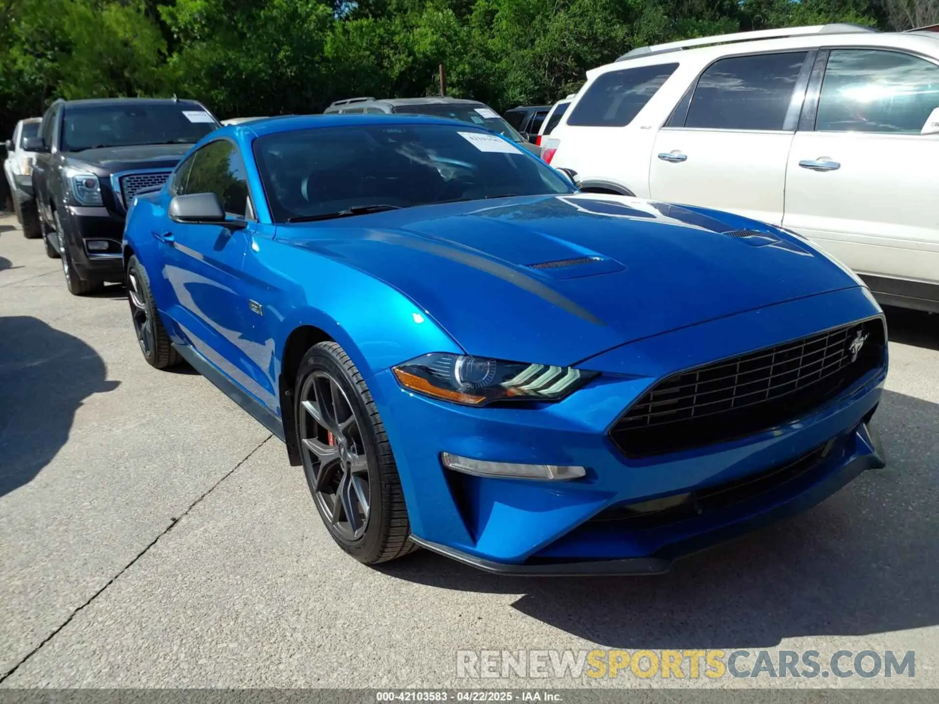 1 Фотография поврежденного автомобиля 1FA6P8TD9M5128237 FORD MUSTANG 2021