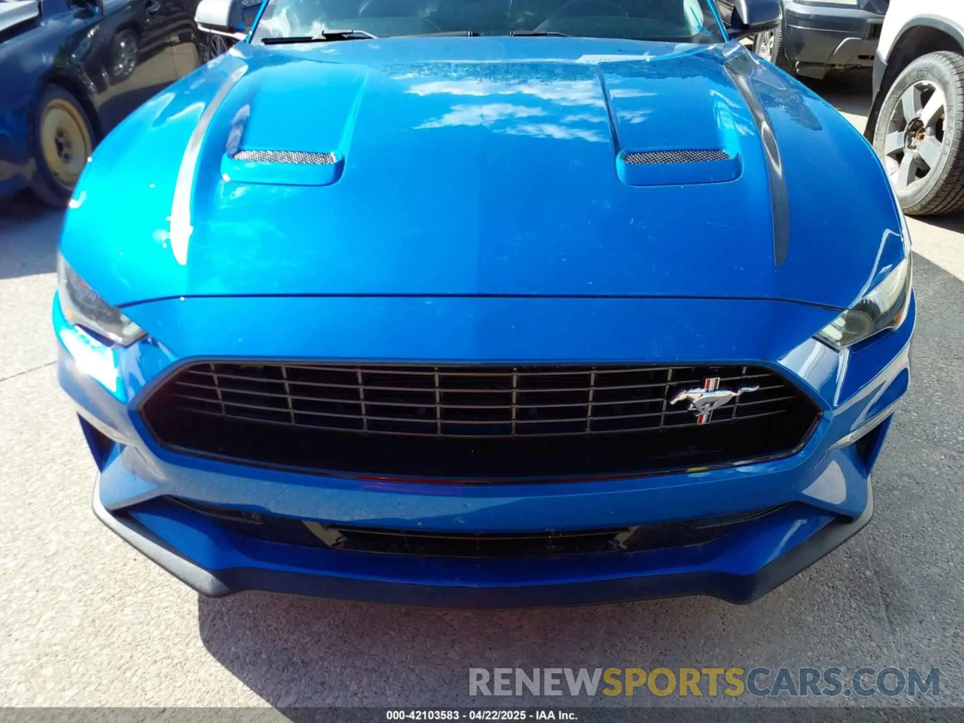 12 Фотография поврежденного автомобиля 1FA6P8TD9M5128237 FORD MUSTANG 2021