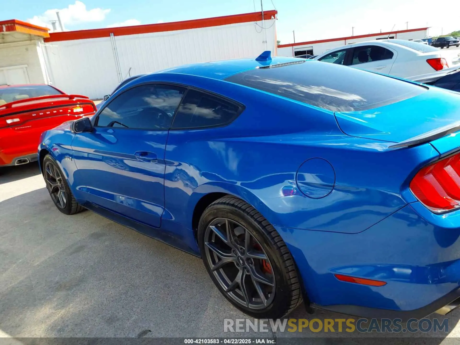 14 Фотография поврежденного автомобиля 1FA6P8TD9M5128237 FORD MUSTANG 2021
