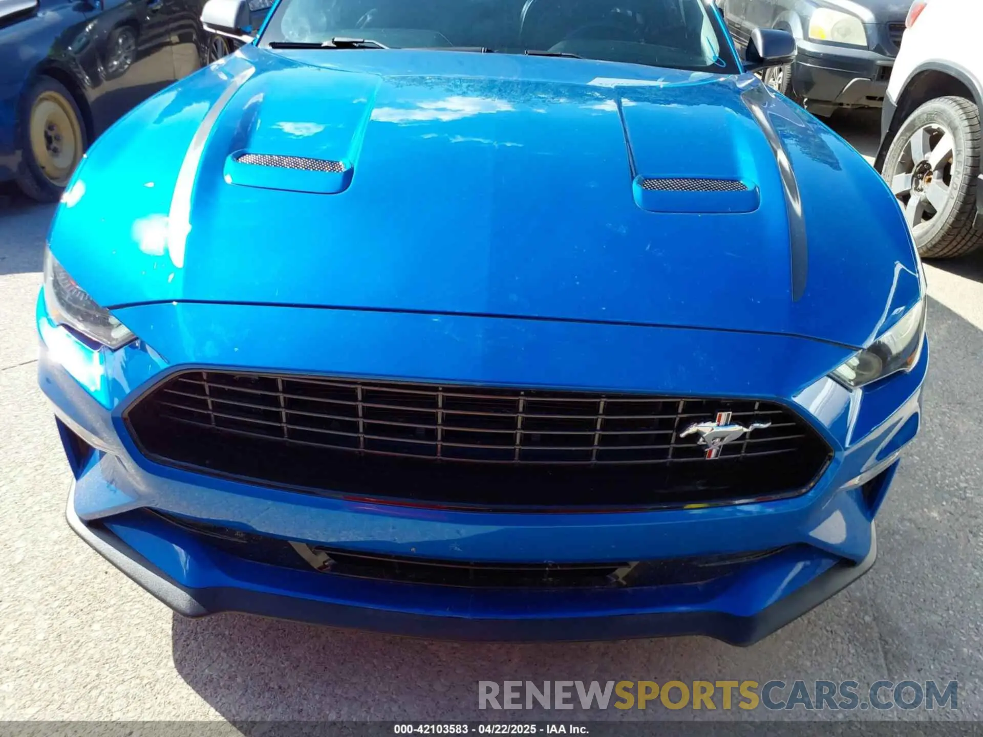 6 Фотография поврежденного автомобиля 1FA6P8TD9M5128237 FORD MUSTANG 2021