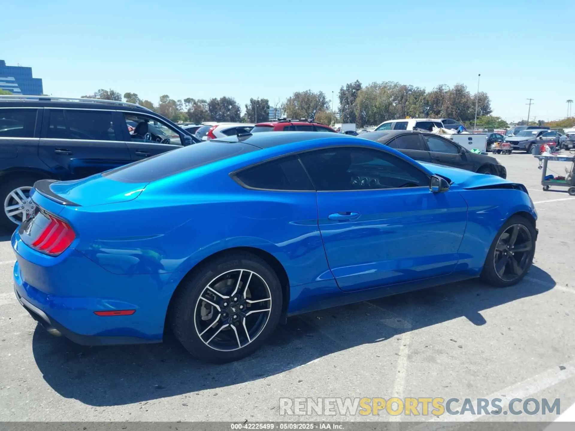 13 Фотография поврежденного автомобиля 1FA6P8TH0M5119073 FORD MUSTANG 2021