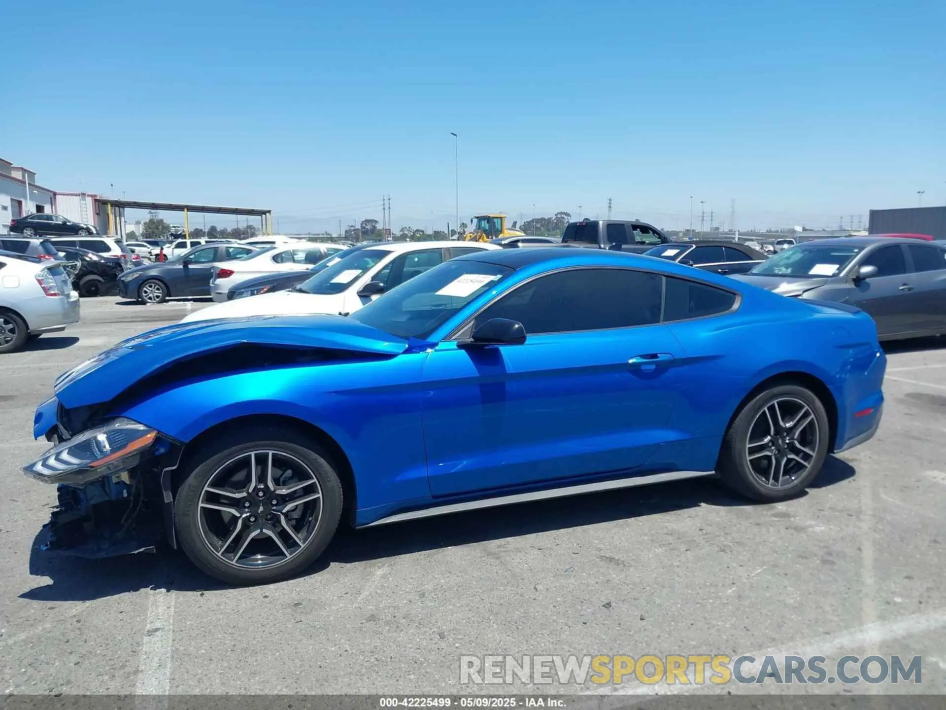 14 Фотография поврежденного автомобиля 1FA6P8TH0M5119073 FORD MUSTANG 2021