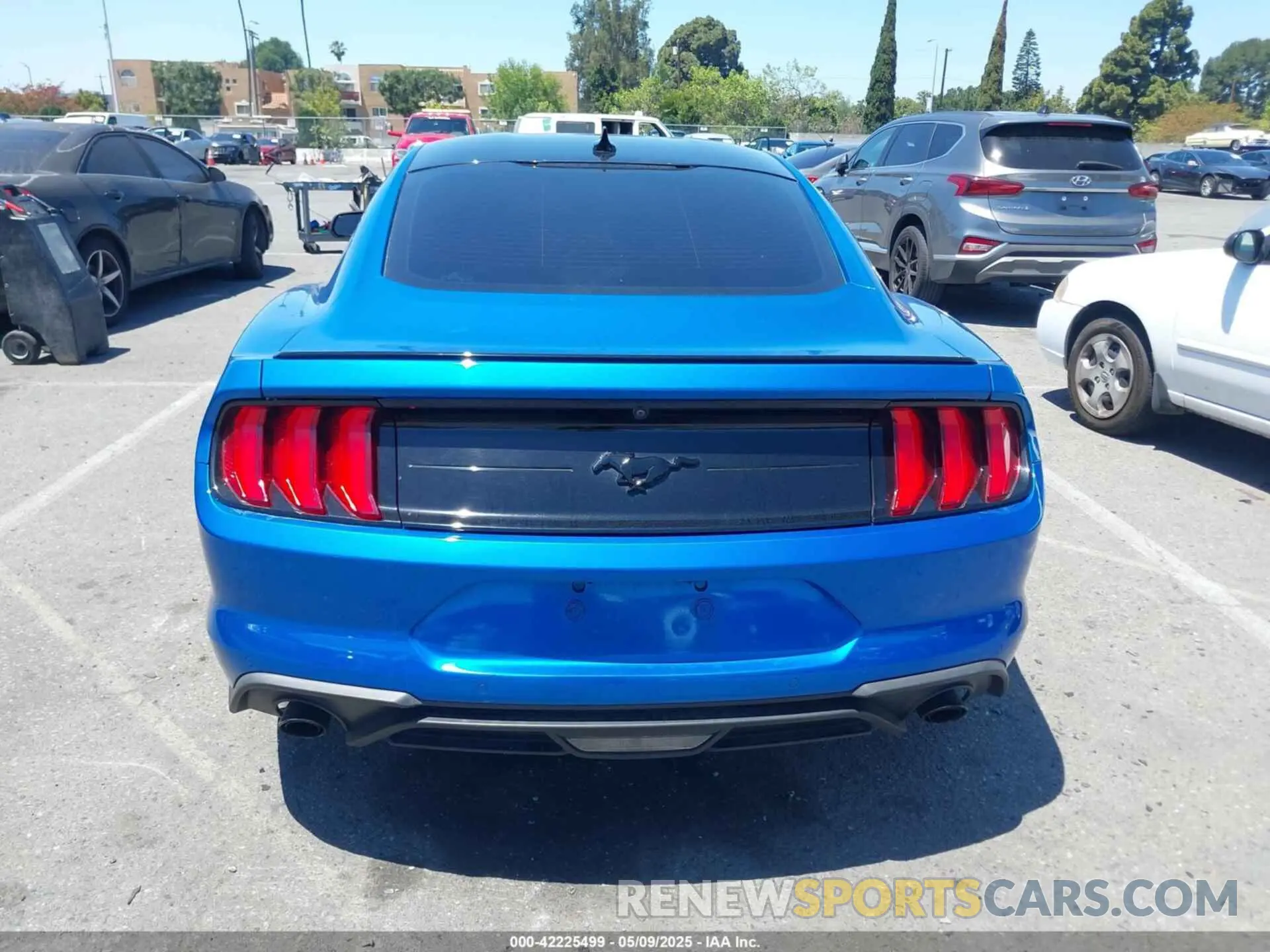 16 Фотография поврежденного автомобиля 1FA6P8TH0M5119073 FORD MUSTANG 2021