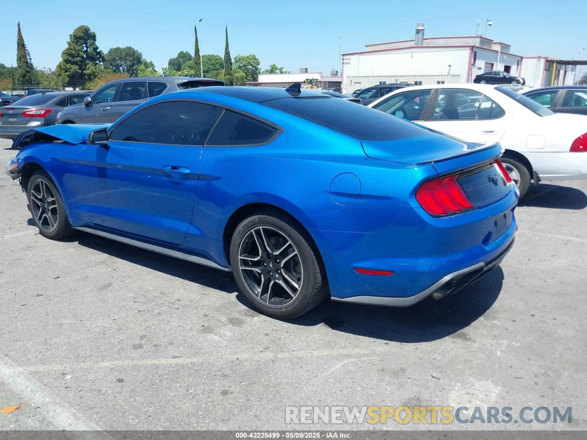 3 Фотография поврежденного автомобиля 1FA6P8TH0M5119073 FORD MUSTANG 2021