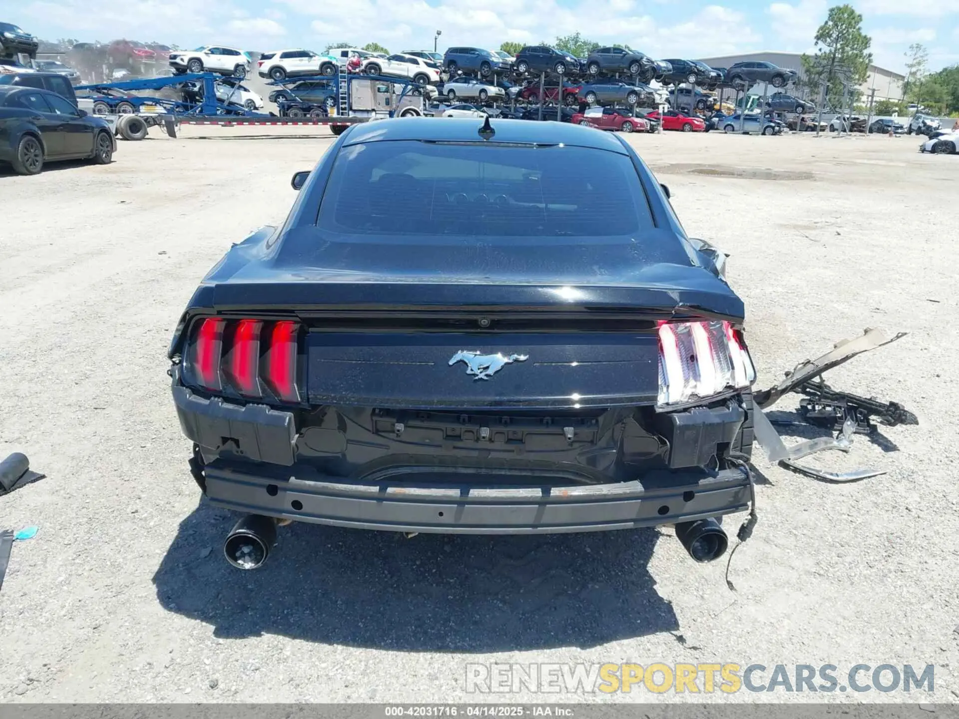 6 Photograph of a damaged car 1FA6P8TH1M5137372 FORD MUSTANG 2021