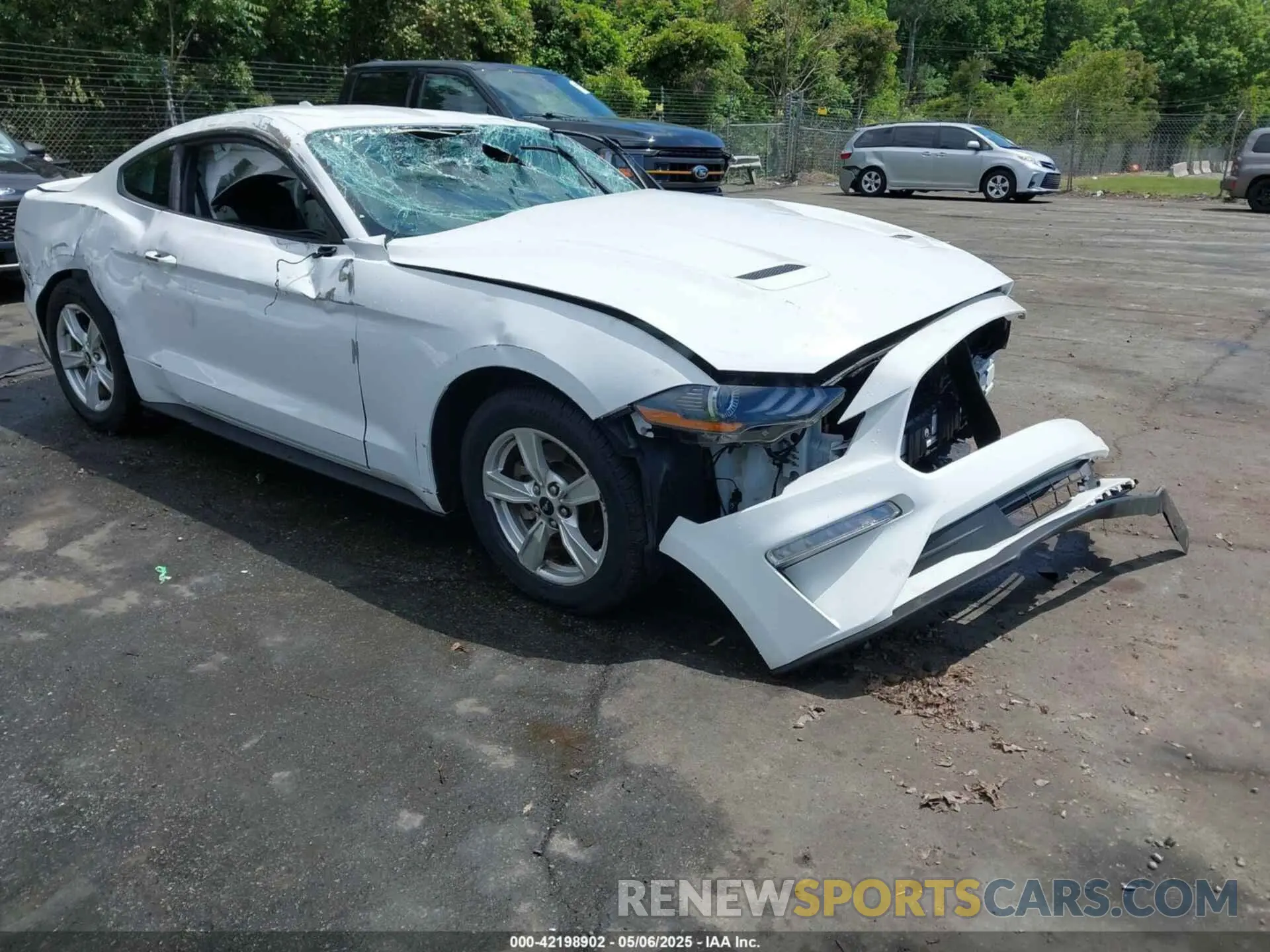 1 Фотография поврежденного автомобиля 1FA6P8TH1M5156455 FORD MUSTANG 2021