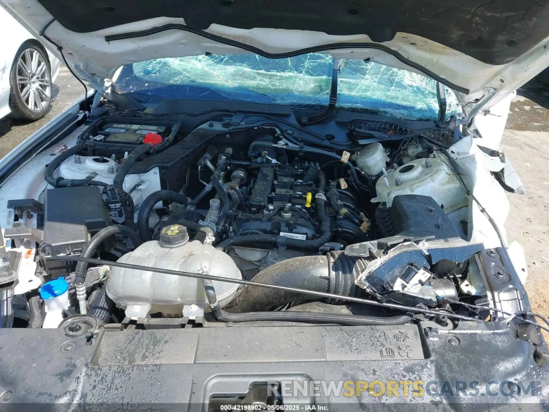 10 Фотография поврежденного автомобиля 1FA6P8TH1M5156455 FORD MUSTANG 2021