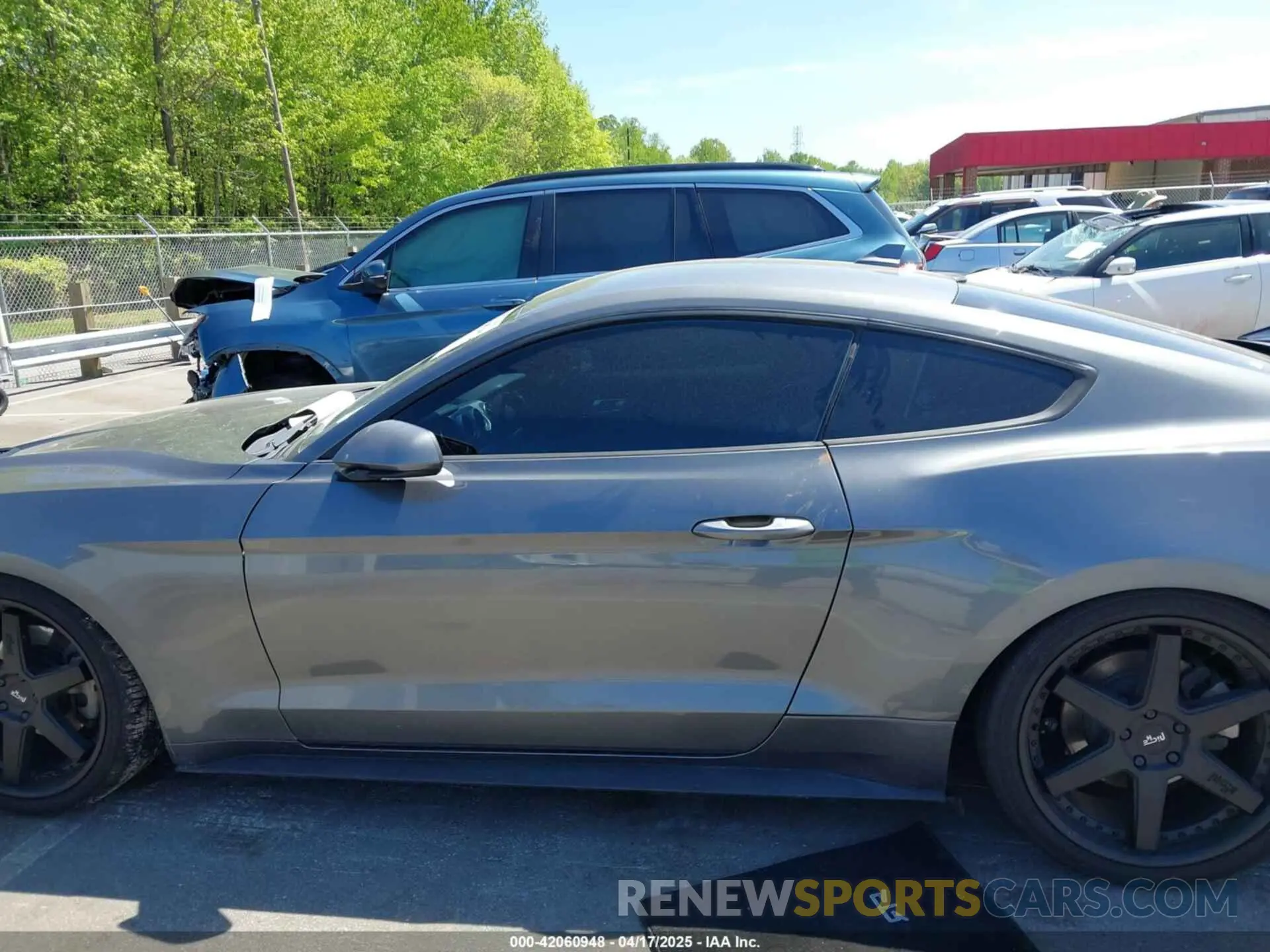 14 Фотография поврежденного автомобиля 1FA6P8TH3M5100601 FORD MUSTANG 2021