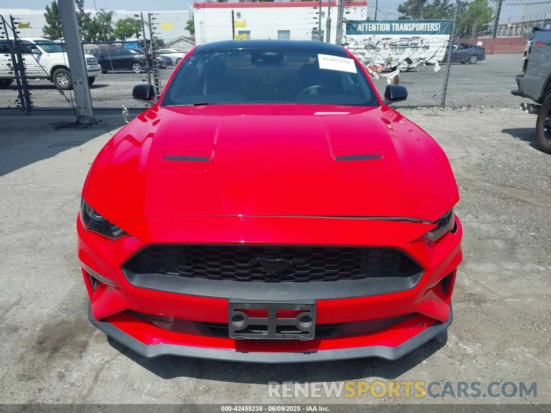 12 Photograph of a damaged car 1FA6P8TH3M5133758 FORD MUSTANG 2021