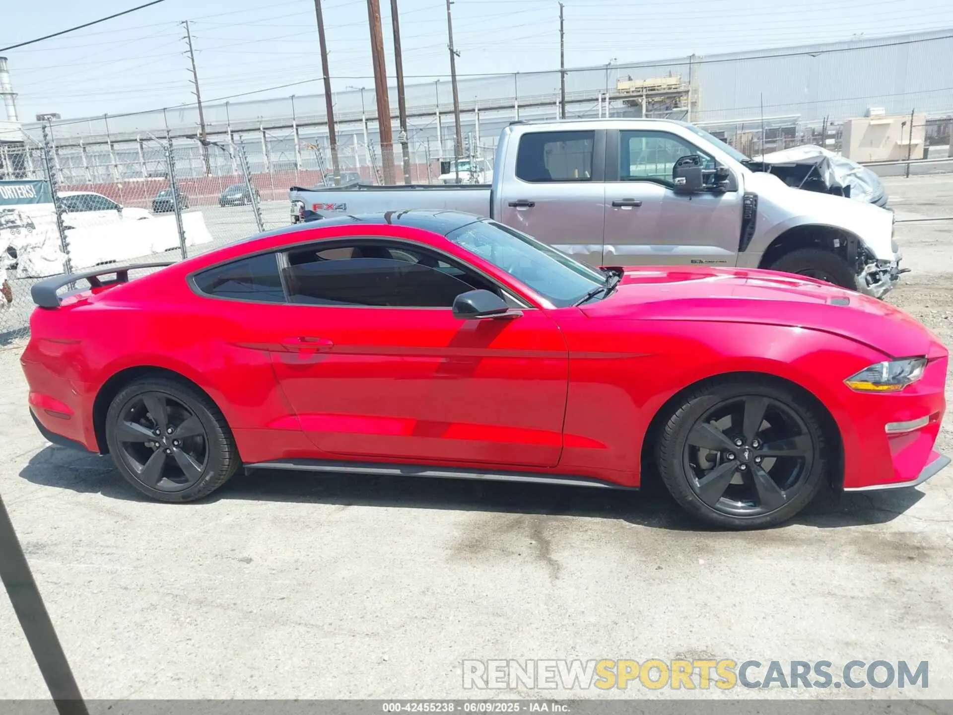 13 Photograph of a damaged car 1FA6P8TH3M5133758 FORD MUSTANG 2021
