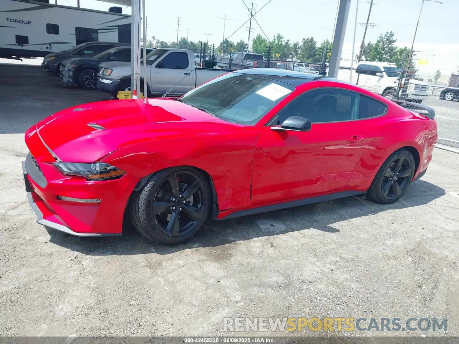 14 Photograph of a damaged car 1FA6P8TH3M5133758 FORD MUSTANG 2021