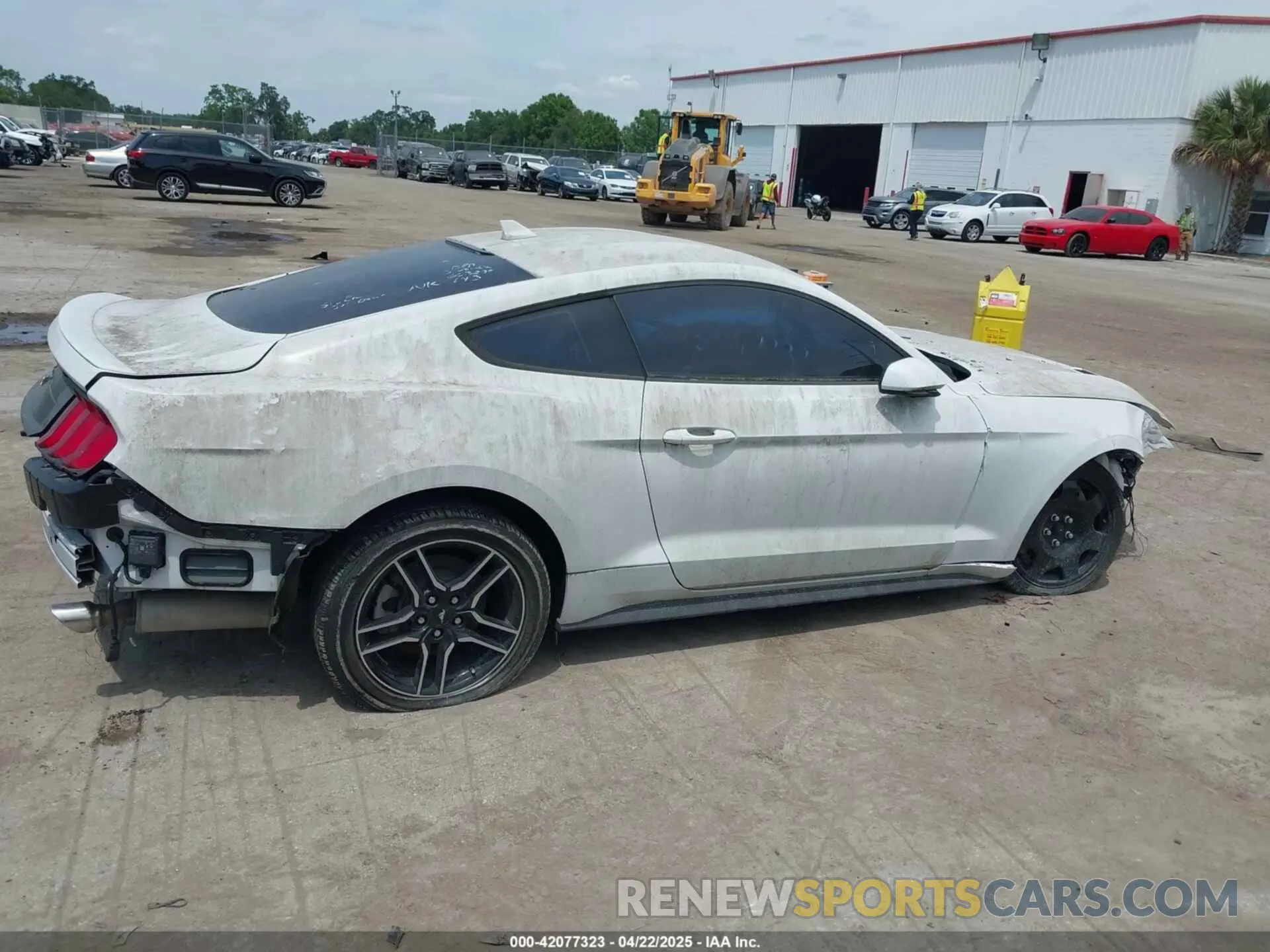 12 Photograph of a damaged car 1FA6P8TH5M5109655 FORD MUSTANG 2021