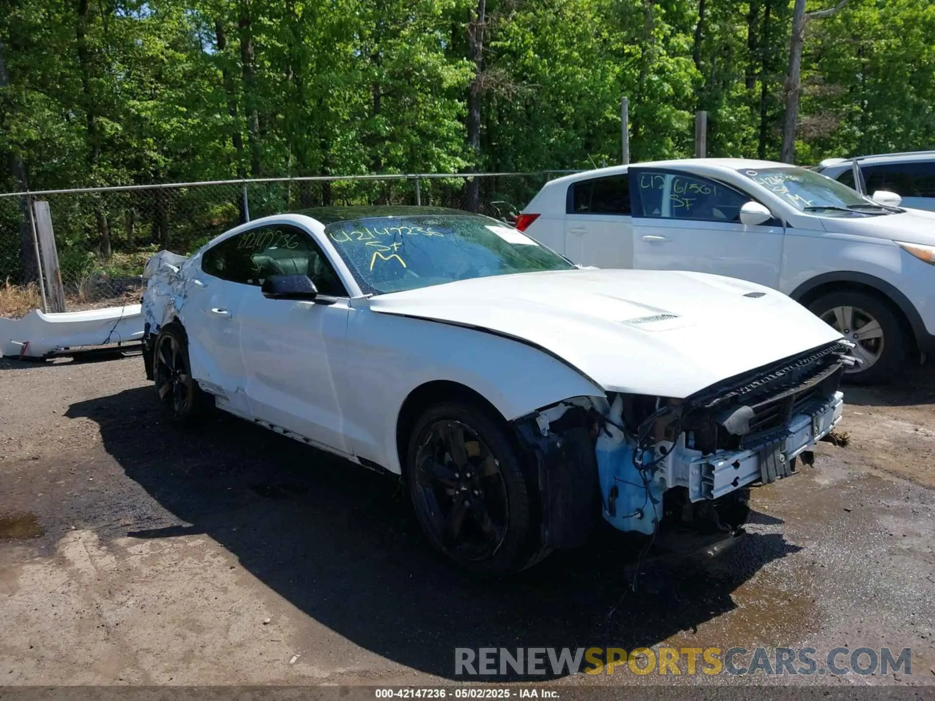 1 Photograph of a damaged car 1FA6P8TH6M5148562 FORD MUSTANG 2021