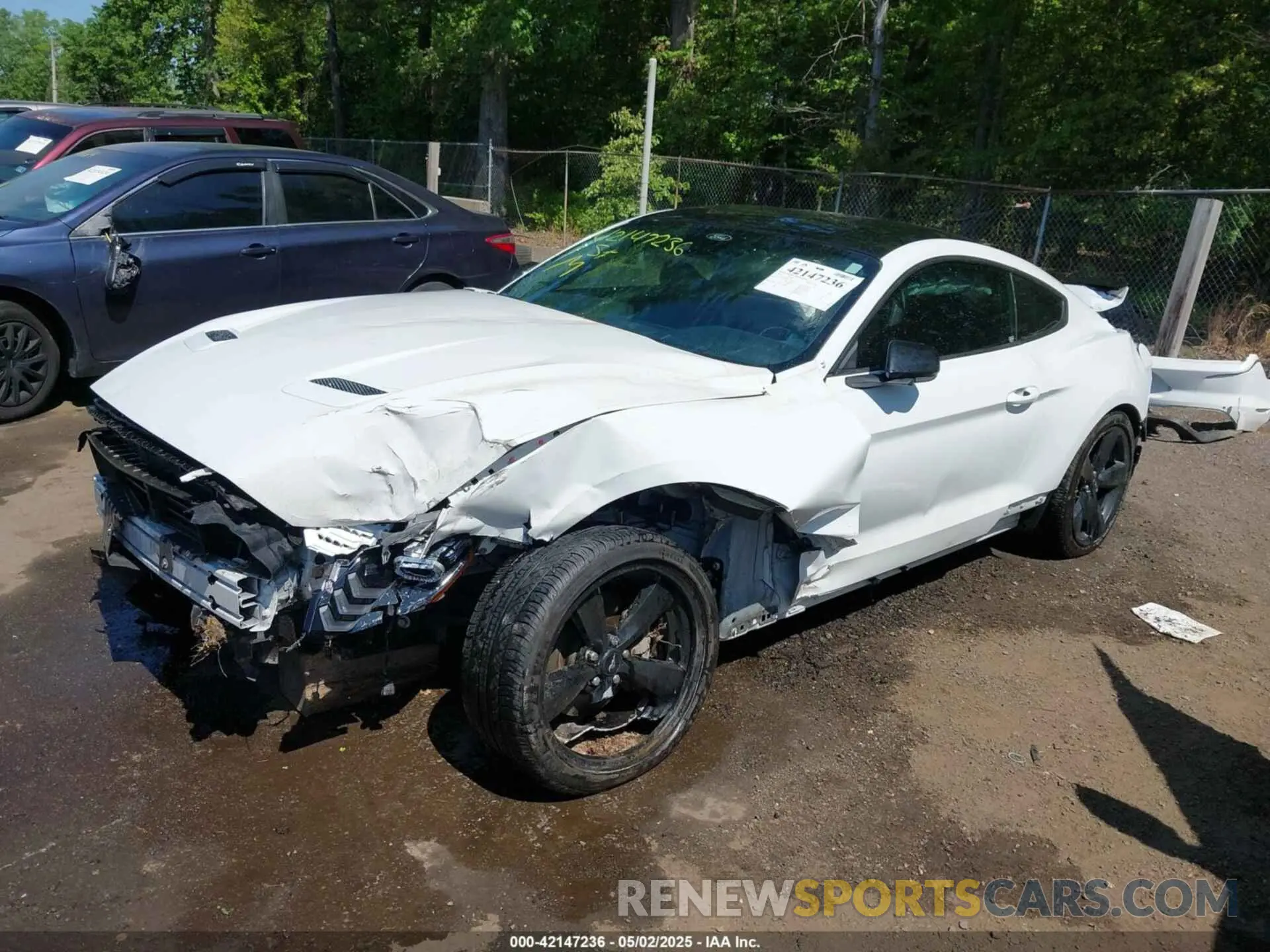 2 Photograph of a damaged car 1FA6P8TH6M5148562 FORD MUSTANG 2021