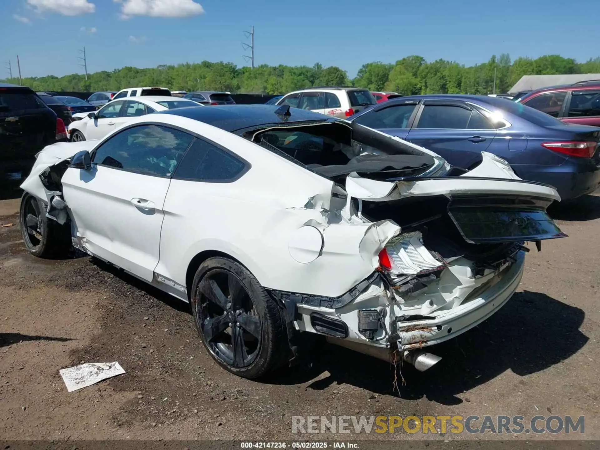 3 Photograph of a damaged car 1FA6P8TH6M5148562 FORD MUSTANG 2021