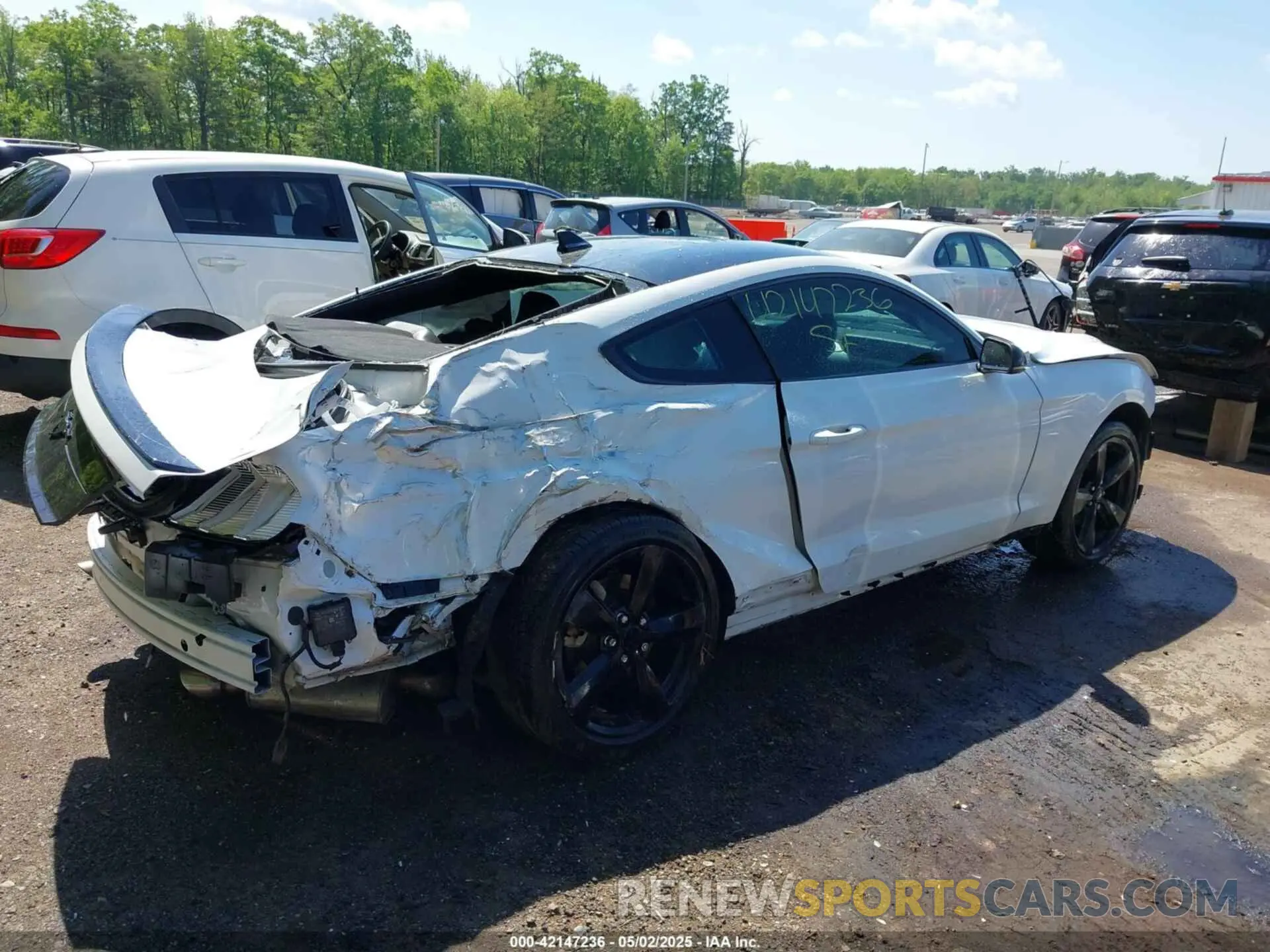 4 Photograph of a damaged car 1FA6P8TH6M5148562 FORD MUSTANG 2021