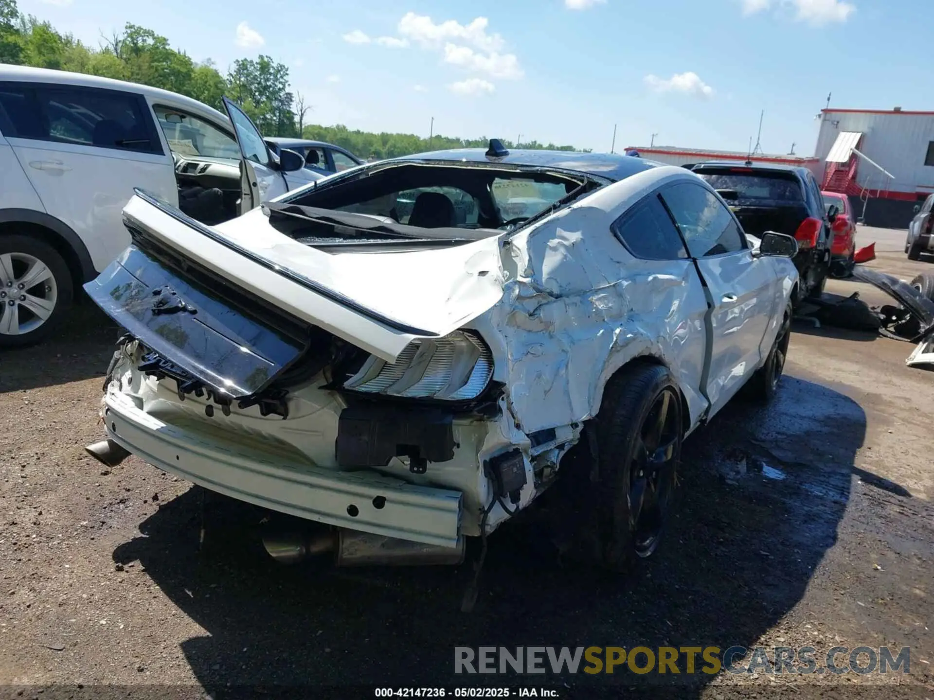 6 Photograph of a damaged car 1FA6P8TH6M5148562 FORD MUSTANG 2021