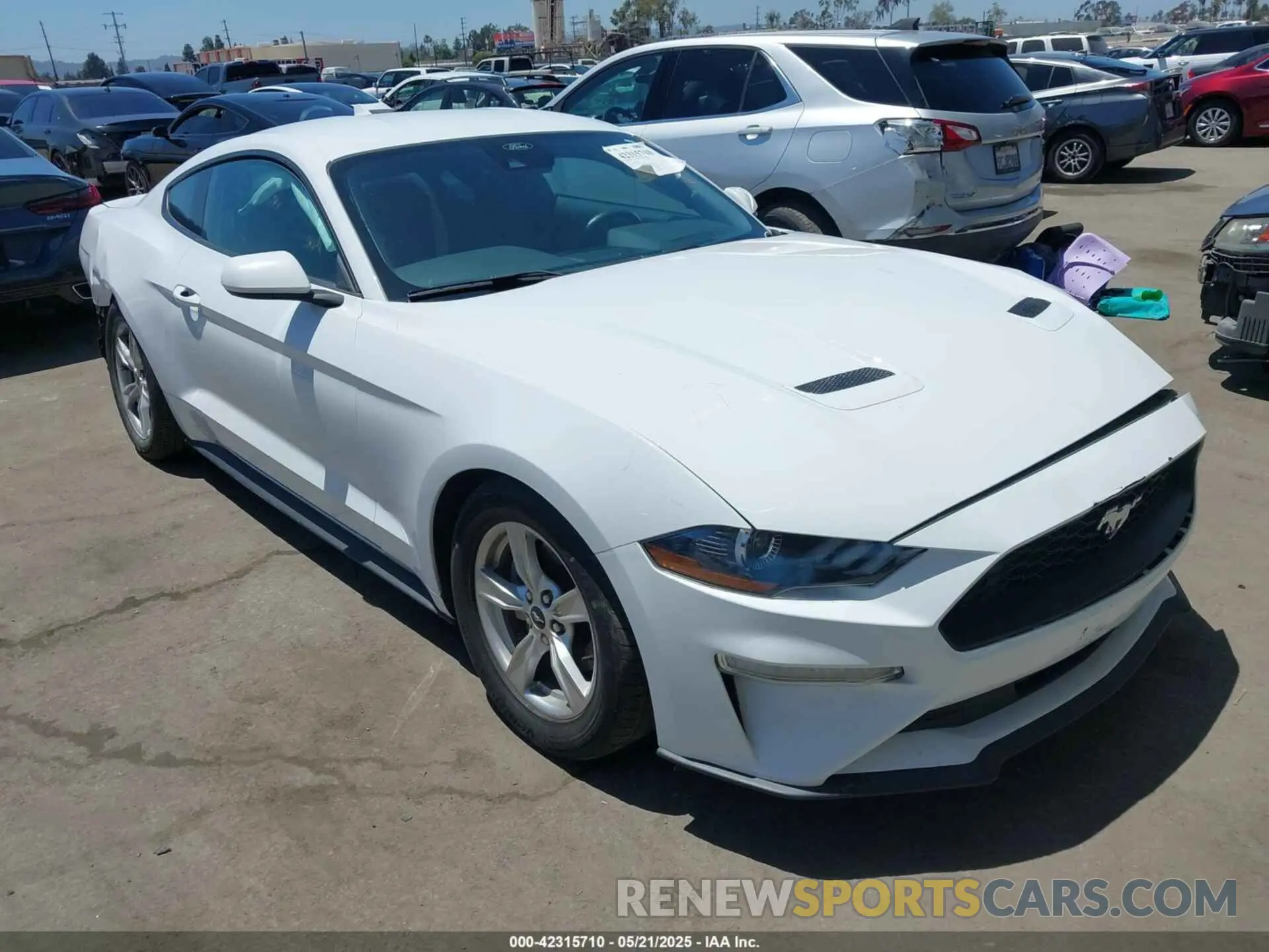 1 Фотография поврежденного автомобиля 1FA6P8TH8M5157702 FORD MUSTANG 2021