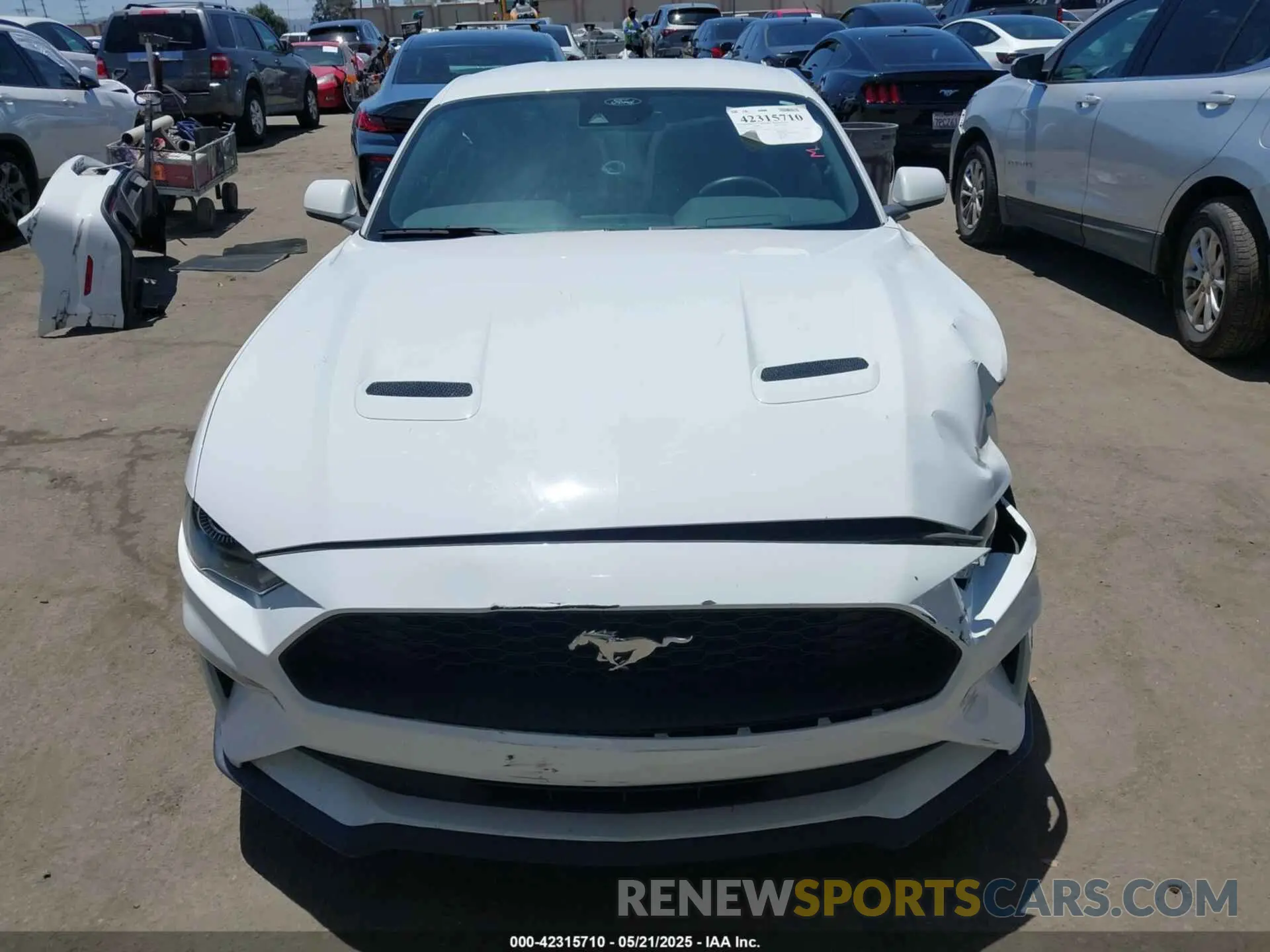 13 Фотография поврежденного автомобиля 1FA6P8TH8M5157702 FORD MUSTANG 2021
