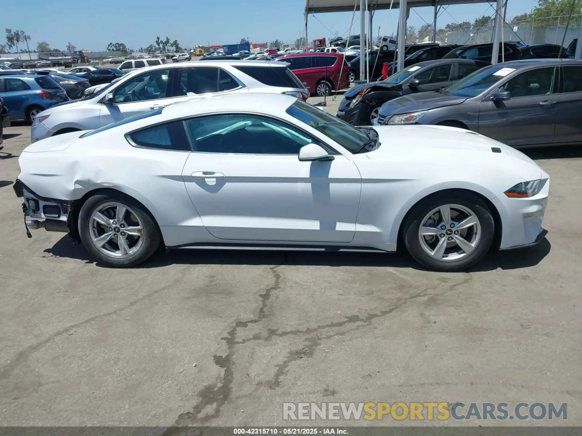 14 Фотография поврежденного автомобиля 1FA6P8TH8M5157702 FORD MUSTANG 2021