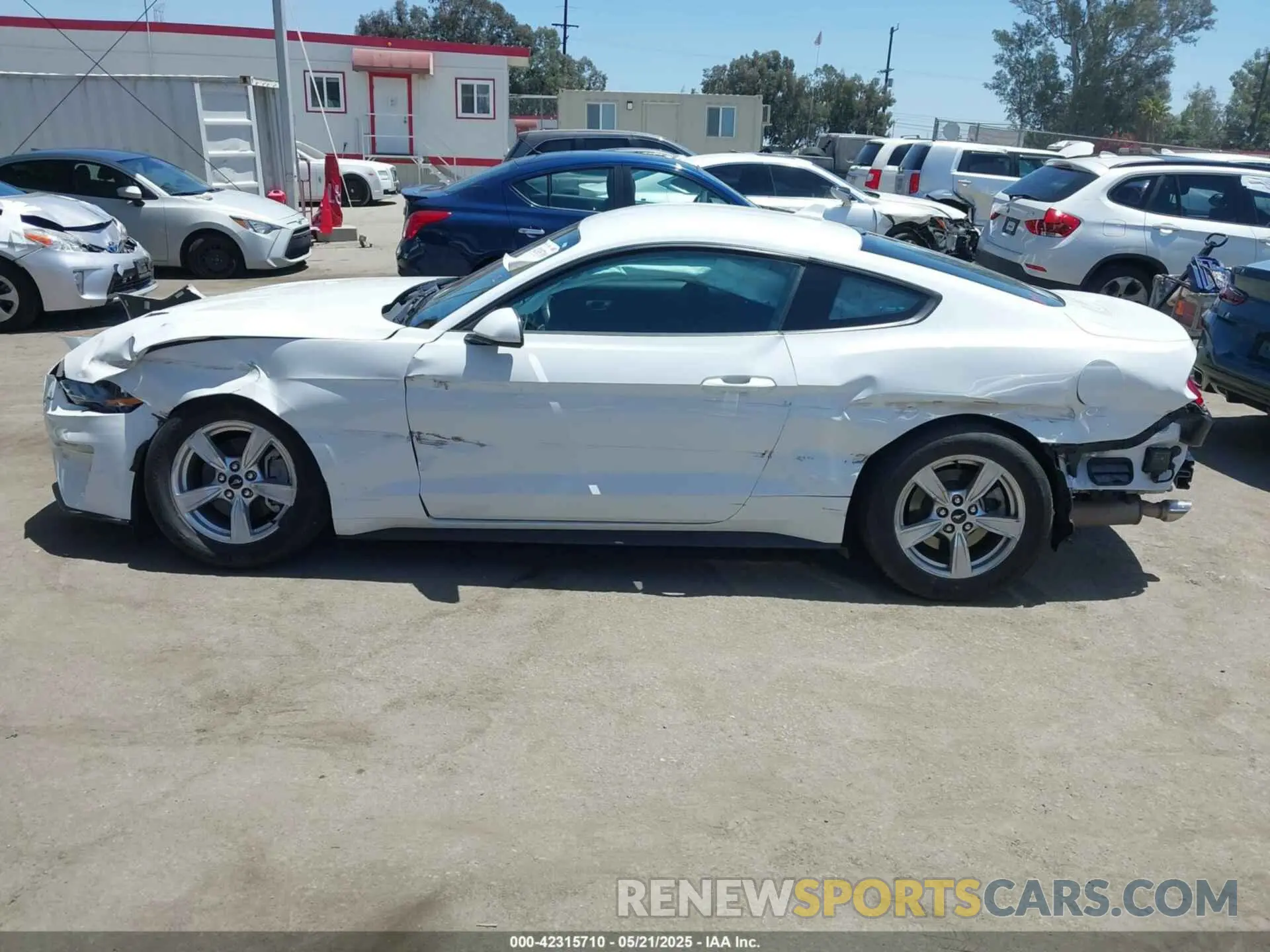 15 Фотография поврежденного автомобиля 1FA6P8TH8M5157702 FORD MUSTANG 2021