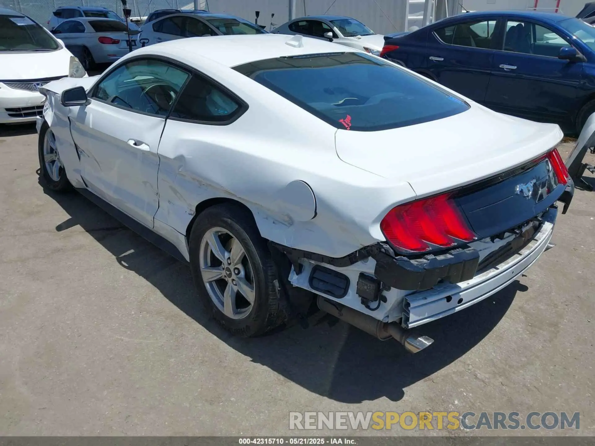 3 Фотография поврежденного автомобиля 1FA6P8TH8M5157702 FORD MUSTANG 2021