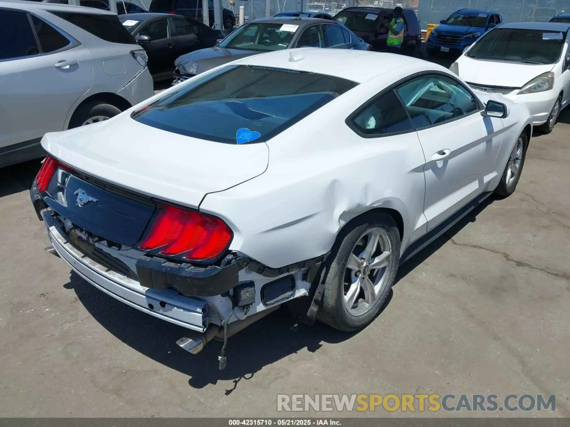 4 Фотография поврежденного автомобиля 1FA6P8TH8M5157702 FORD MUSTANG 2021
