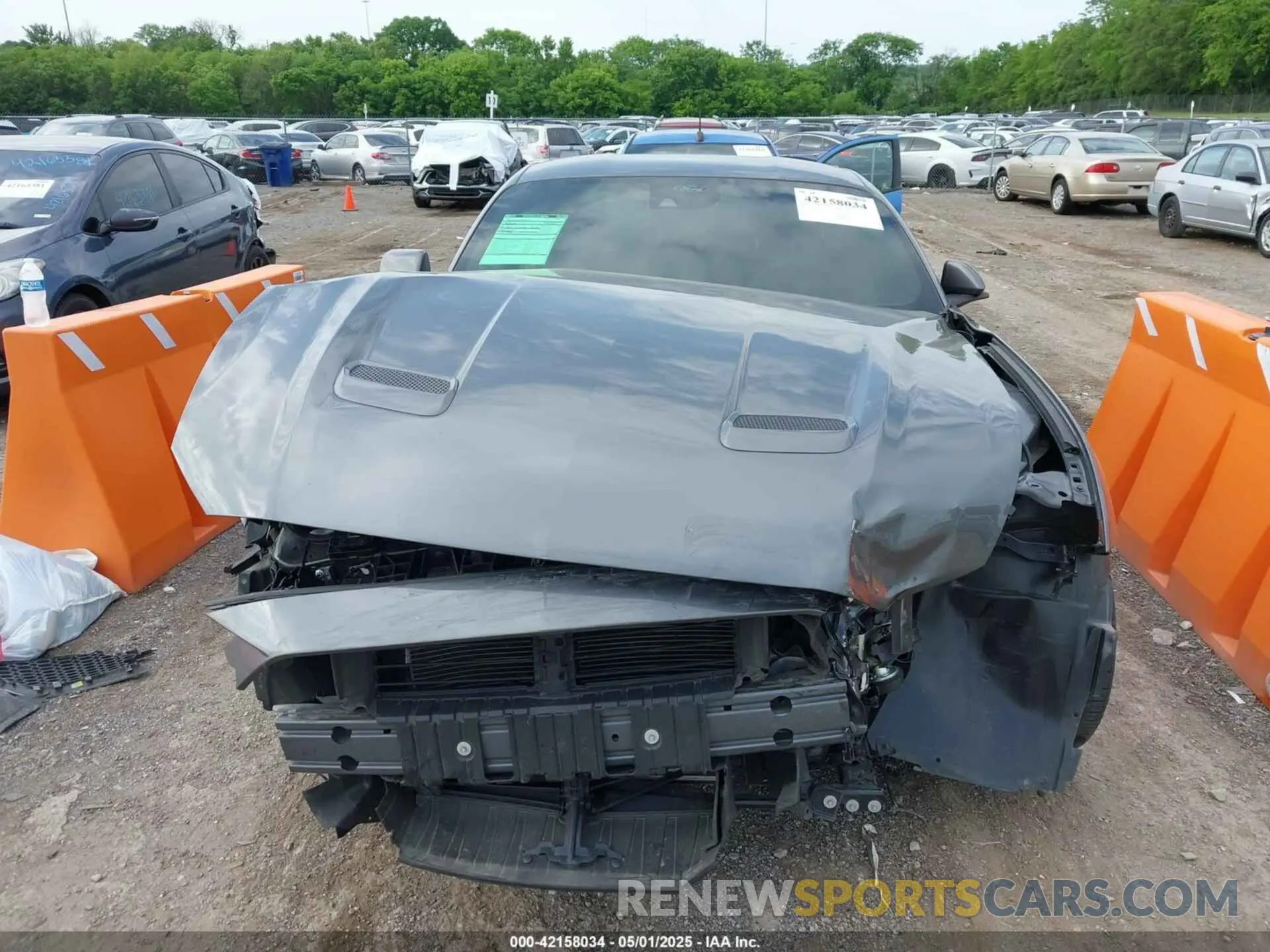 13 Photograph of a damaged car 1FA6P8TH9M5133781 FORD MUSTANG 2021