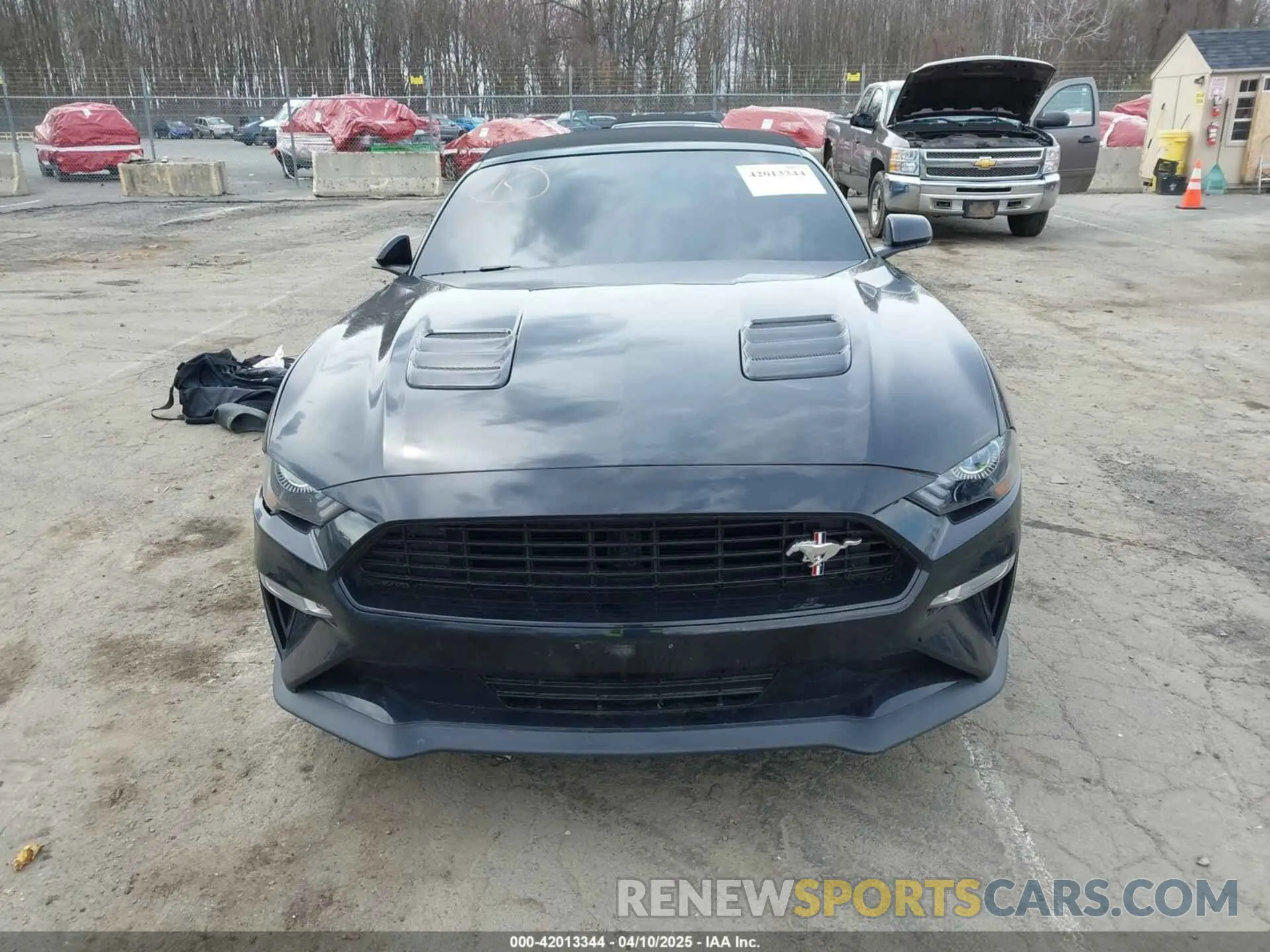 11 Photograph of a damaged car 1FATP8FF4M5143096 FORD MUSTANG 2021