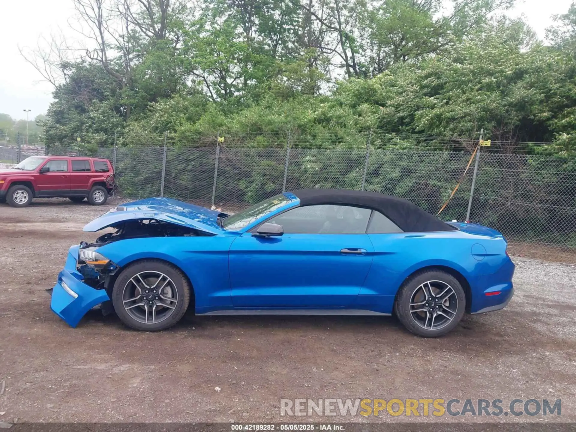 14 Photograph of a damaged car 1FATP8UH0M5110357 FORD MUSTANG 2021