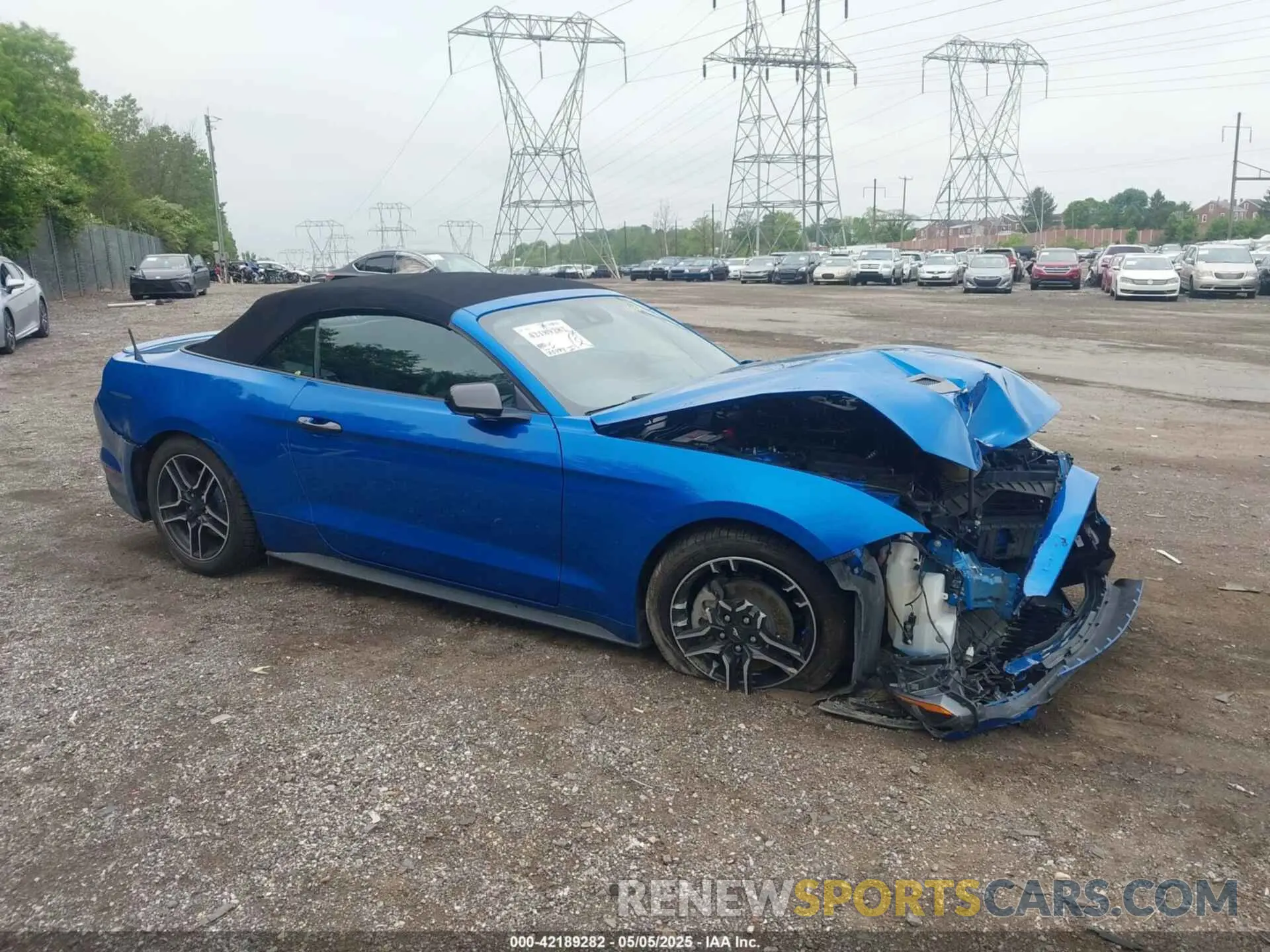 19 Photograph of a damaged car 1FATP8UH0M5110357 FORD MUSTANG 2021