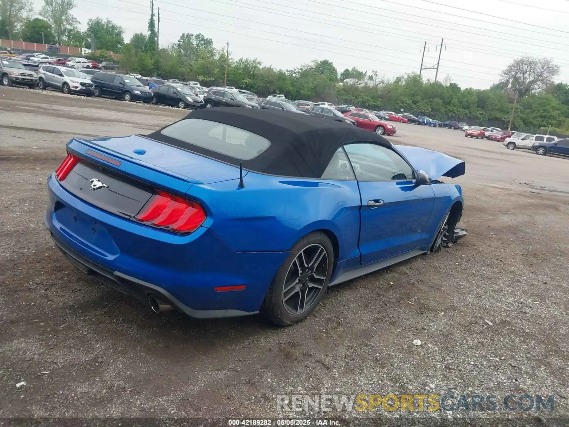 4 Photograph of a damaged car 1FATP8UH0M5110357 FORD MUSTANG 2021
