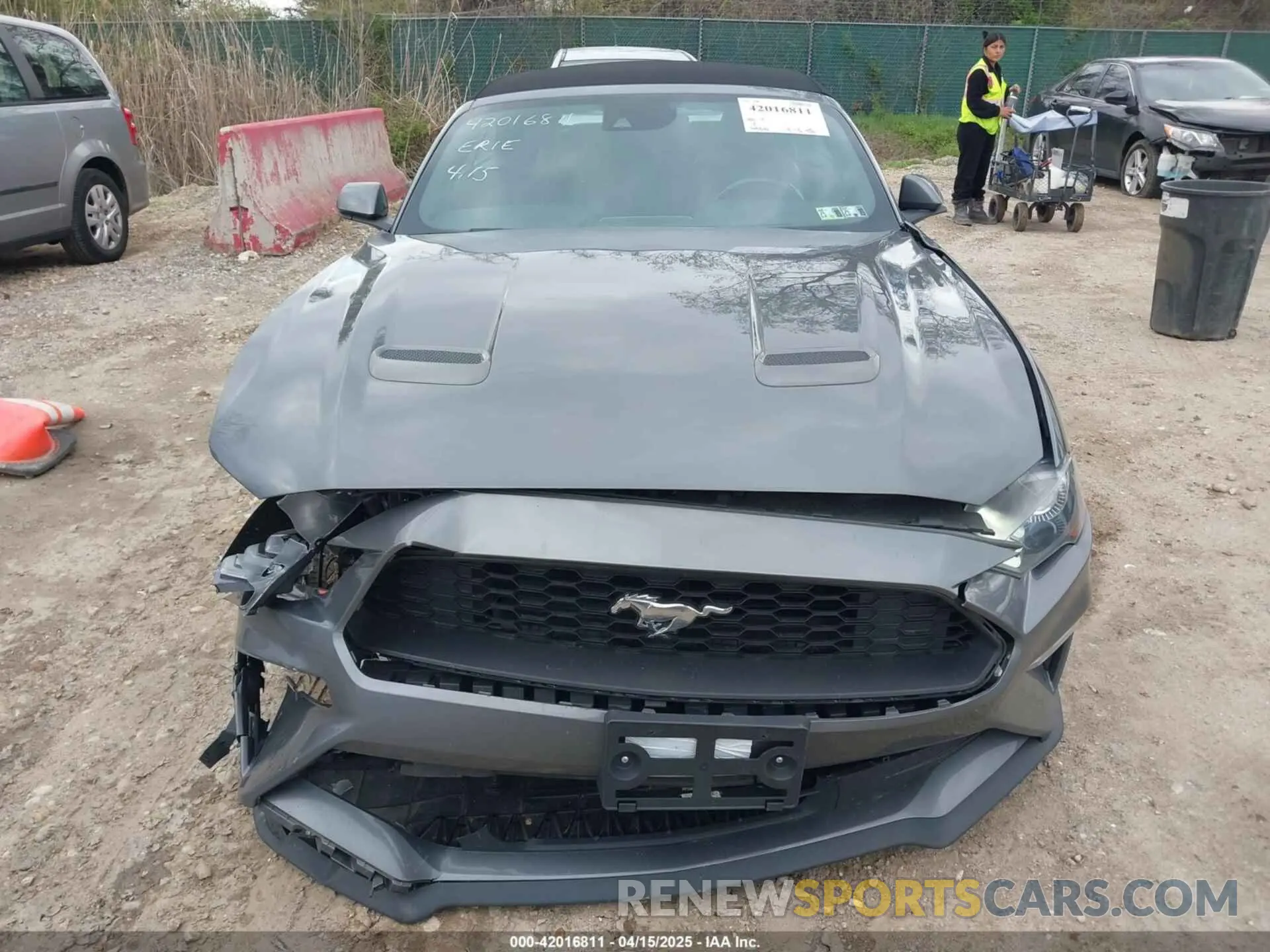 12 Photograph of a damaged car 1FATP8UH3M5130277 FORD MUSTANG 2021