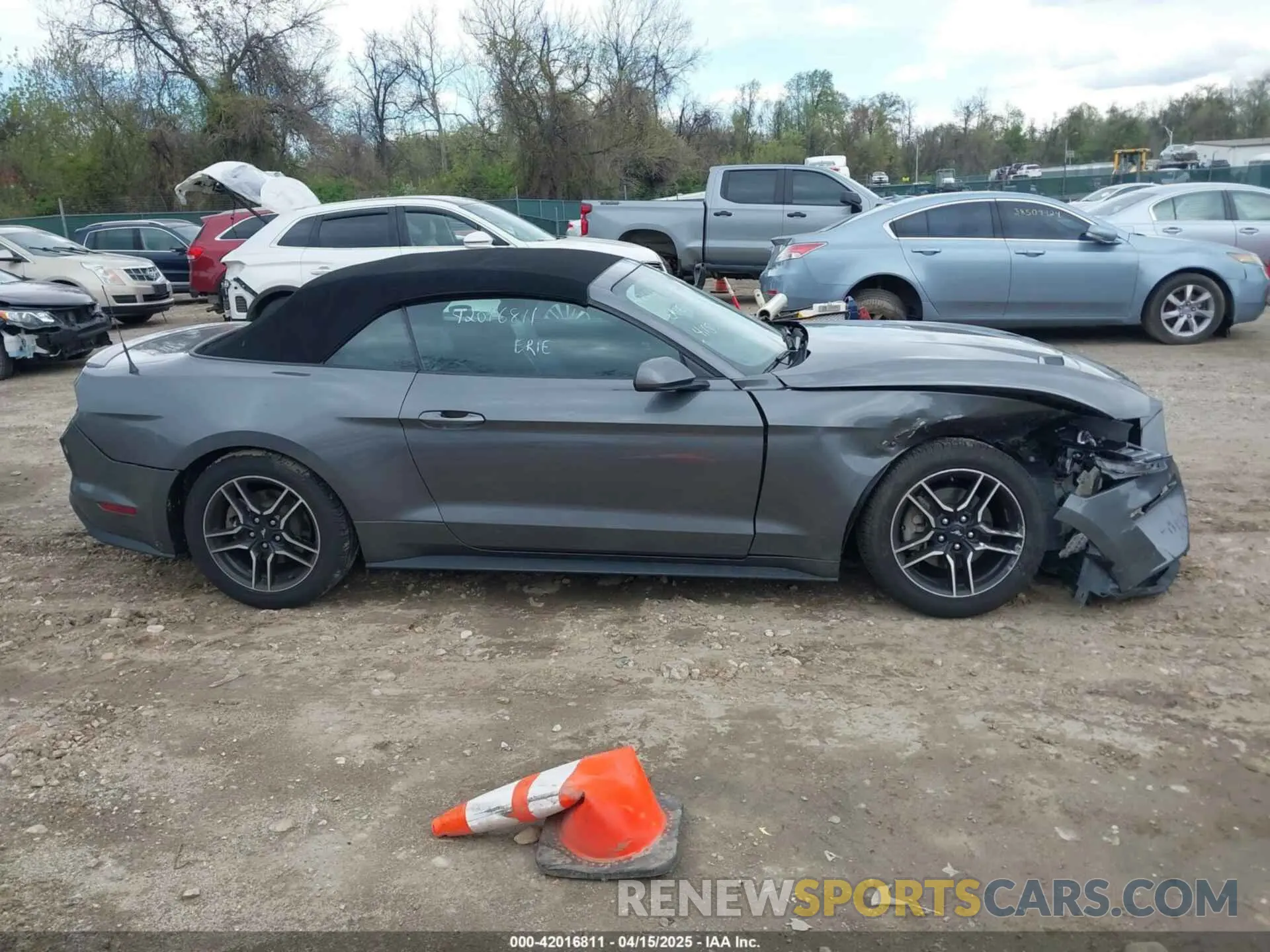 13 Photograph of a damaged car 1FATP8UH3M5130277 FORD MUSTANG 2021
