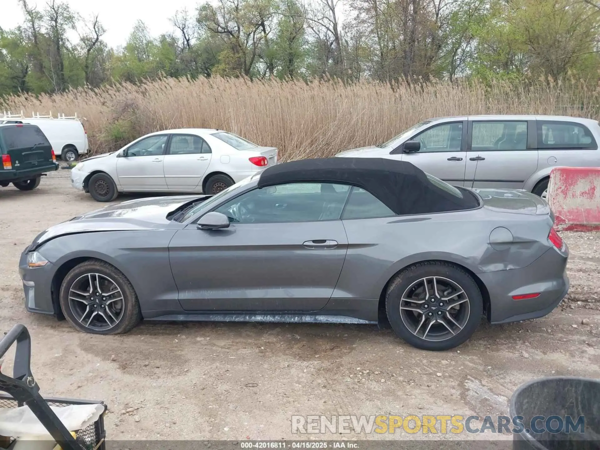 14 Photograph of a damaged car 1FATP8UH3M5130277 FORD MUSTANG 2021