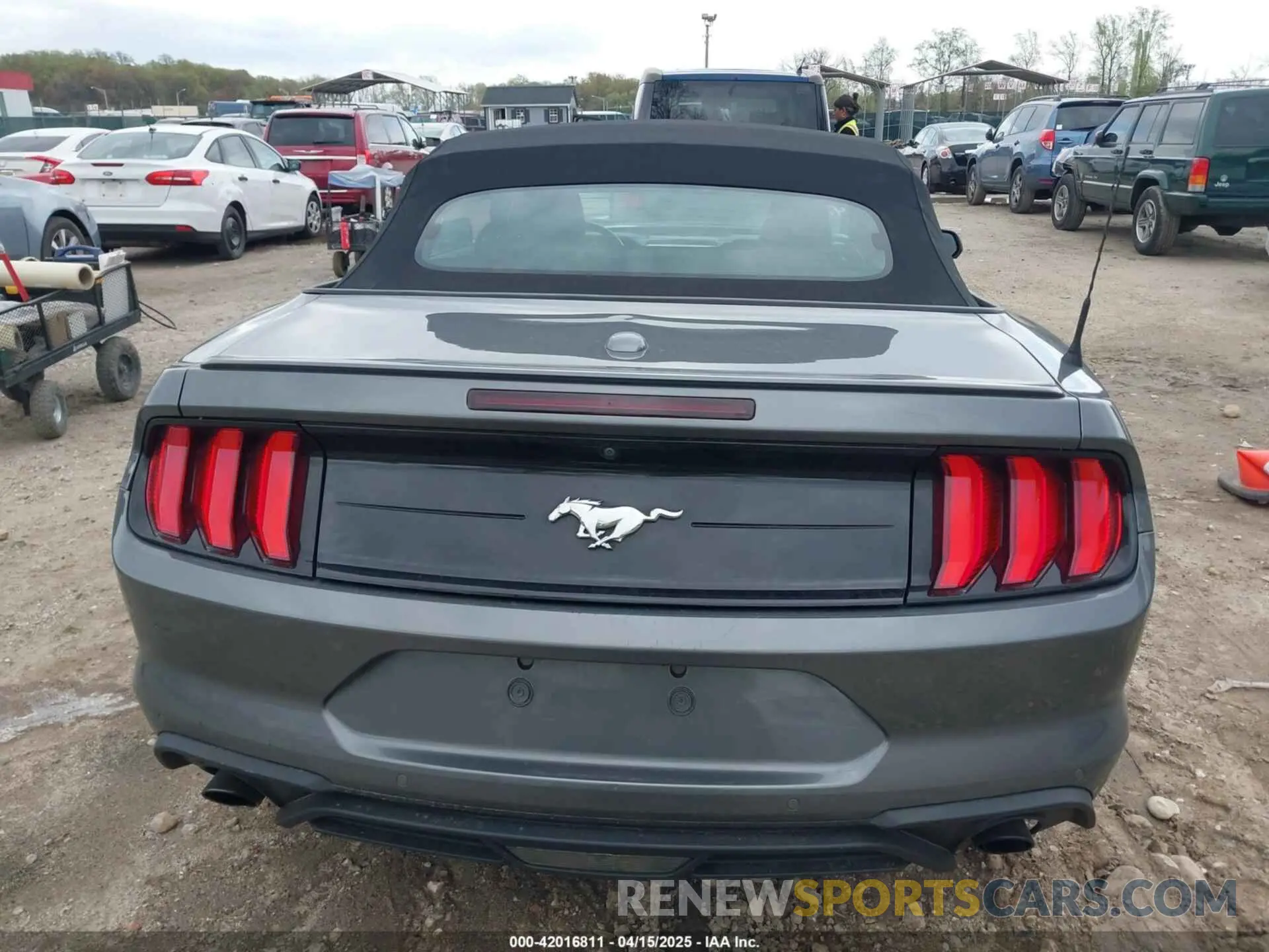 16 Photograph of a damaged car 1FATP8UH3M5130277 FORD MUSTANG 2021