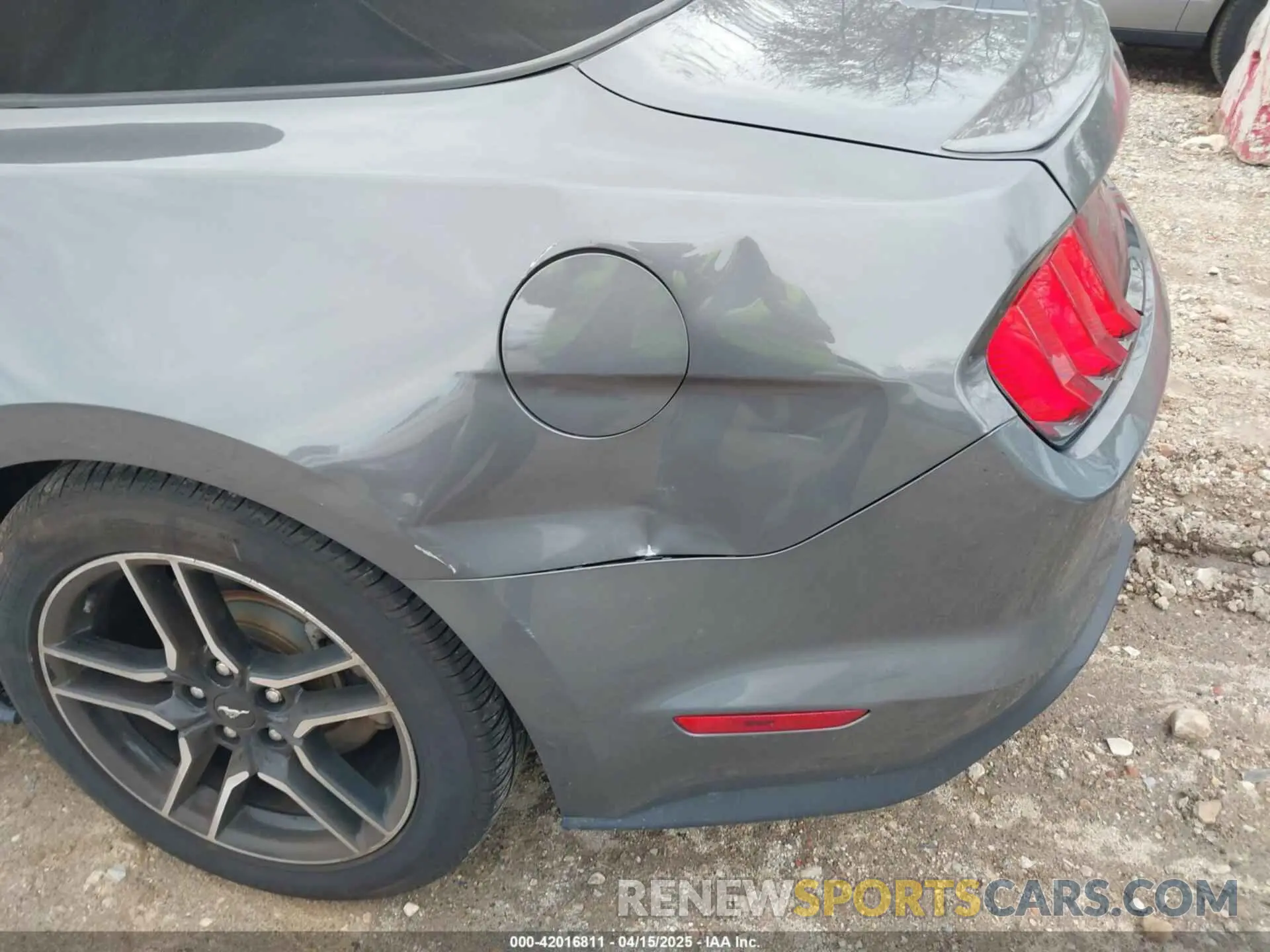 19 Photograph of a damaged car 1FATP8UH3M5130277 FORD MUSTANG 2021