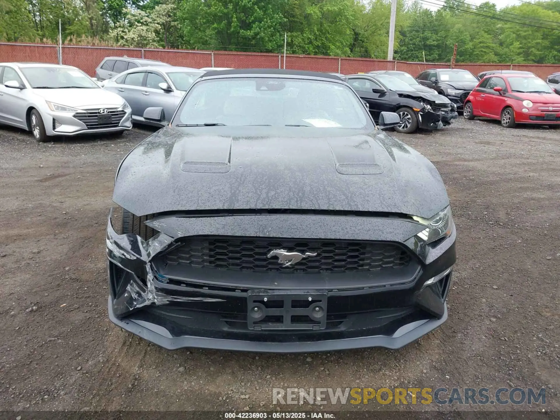 12 Фотография поврежденного автомобиля 1FATP8UH7M5122537 FORD MUSTANG 2021