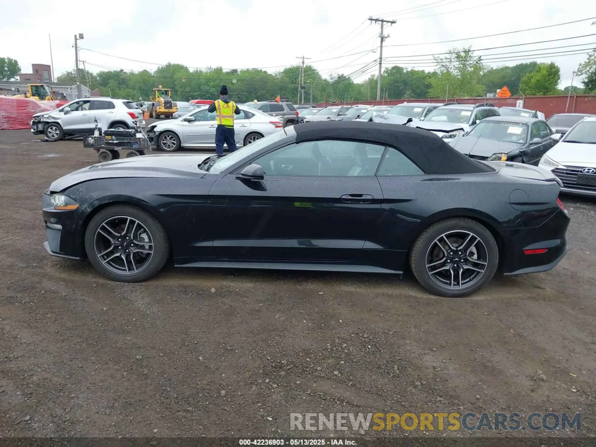 14 Фотография поврежденного автомобиля 1FATP8UH7M5122537 FORD MUSTANG 2021