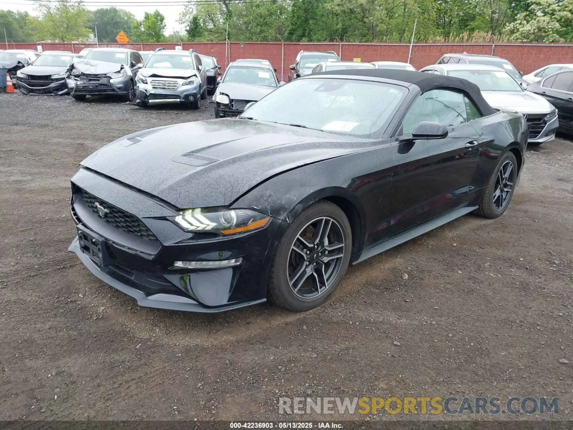 2 Фотография поврежденного автомобиля 1FATP8UH7M5122537 FORD MUSTANG 2021