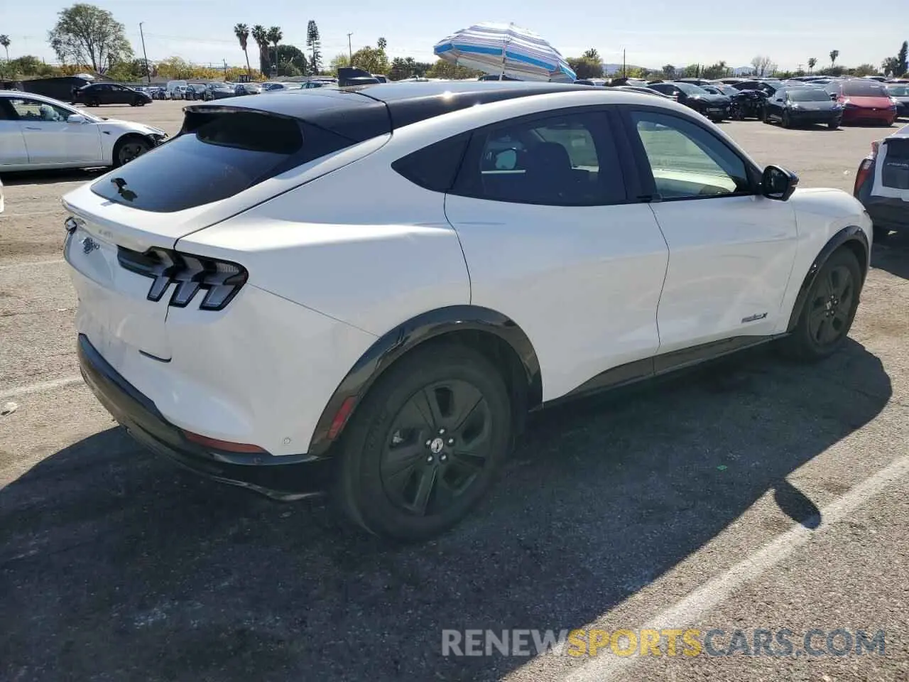 3 Фотография поврежденного автомобиля 3FMTK2R74MMA36159 FORD MUSTANG 2021
