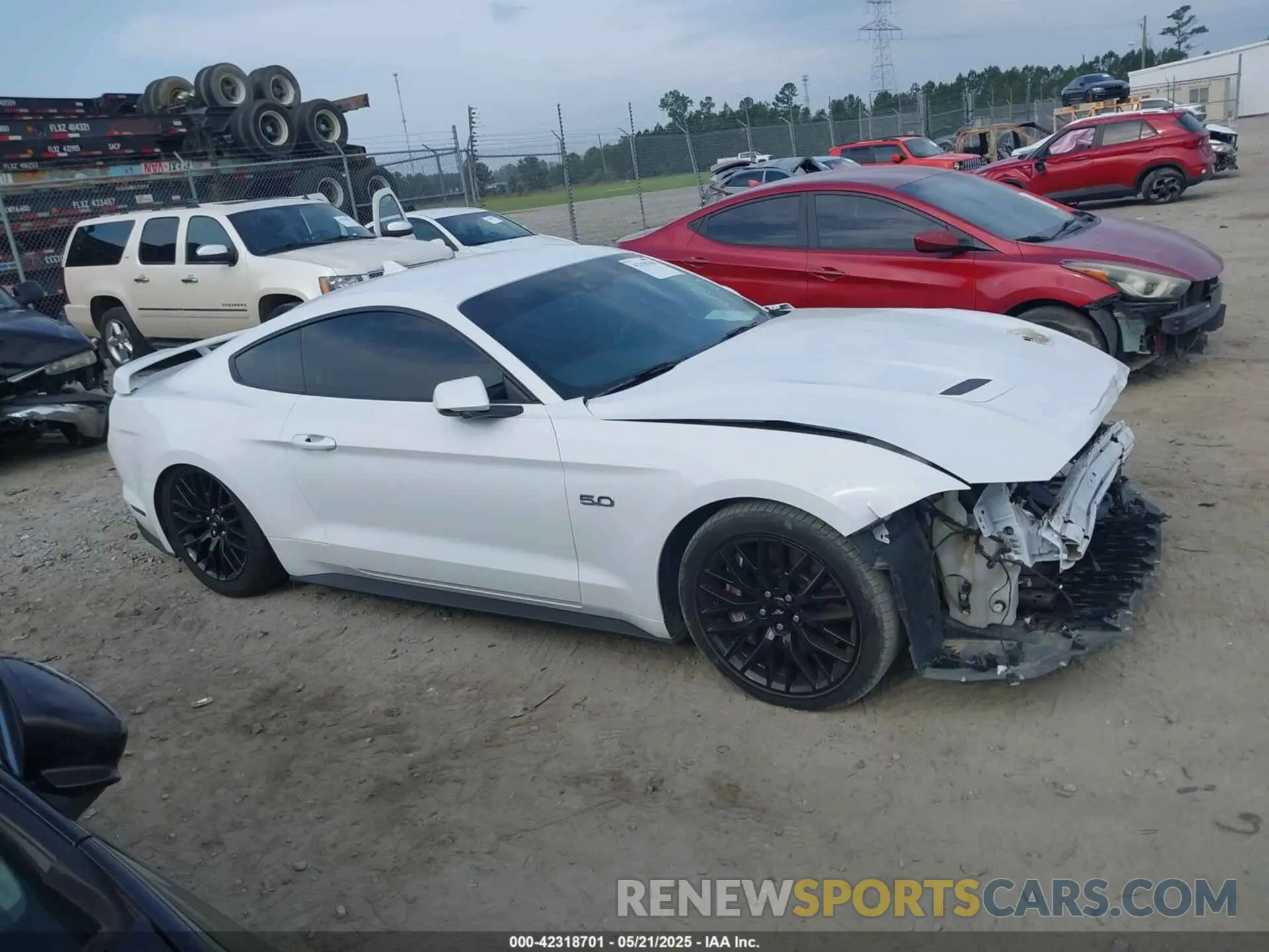 13 Photograph of a damaged car 1FA6P8CF1N5120958 FORD MUSTANG 2022