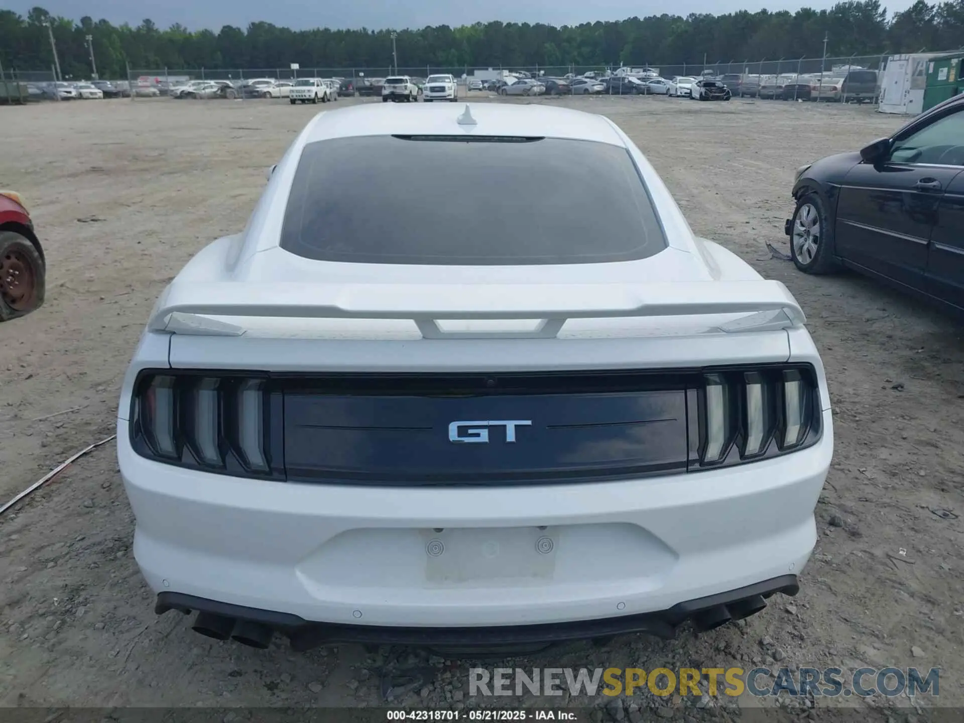 16 Photograph of a damaged car 1FA6P8CF1N5120958 FORD MUSTANG 2022