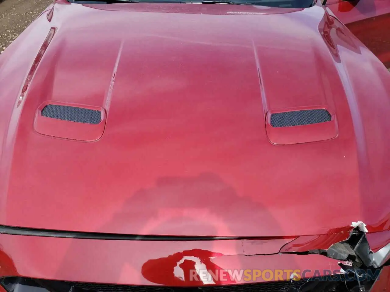 13 Photograph of a damaged car 1FA6P8CF1N5149831 FORD MUSTANG 2022