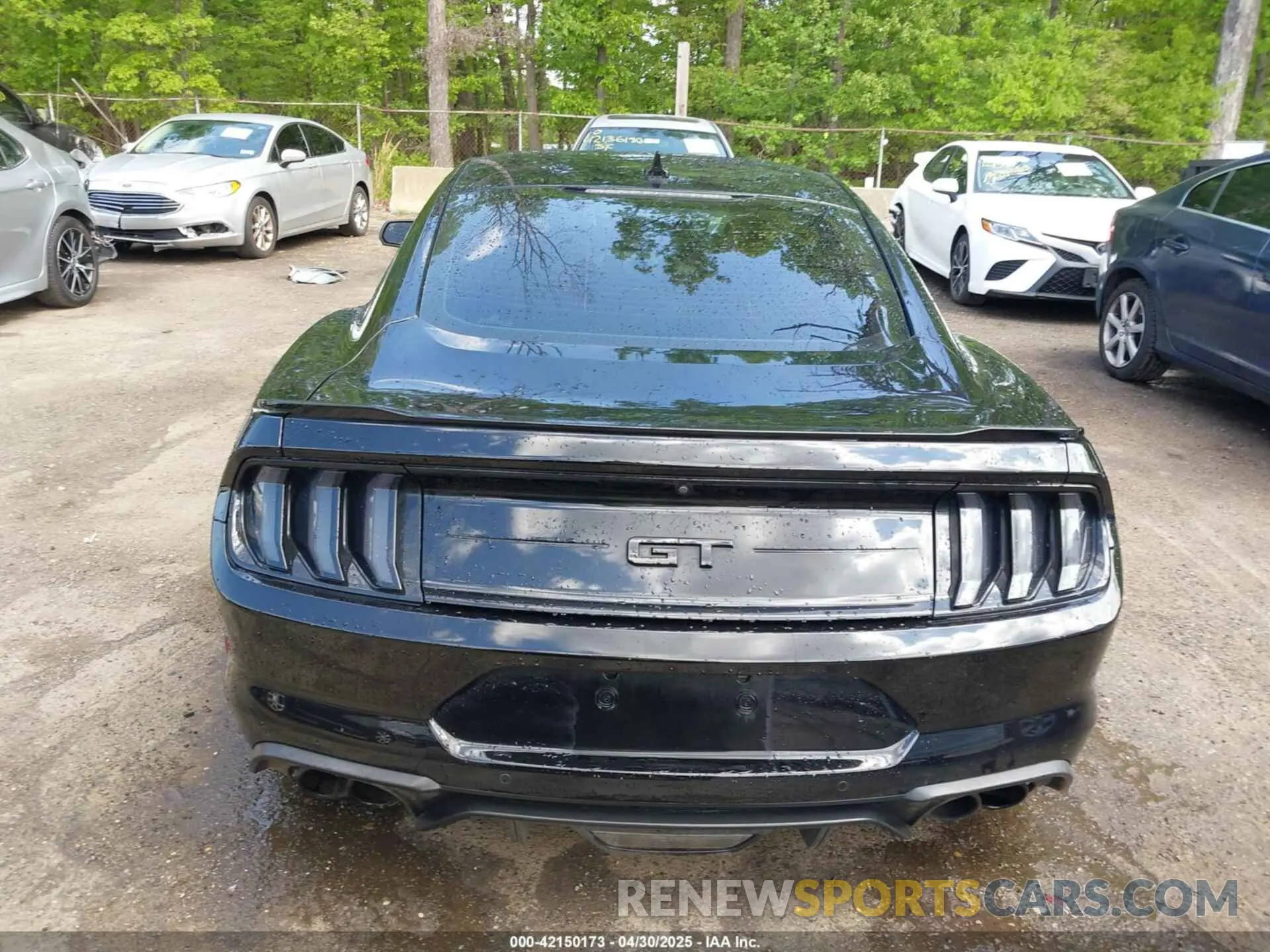 16 Photograph of a damaged car 1FA6P8CF3N5133730 FORD MUSTANG 2022