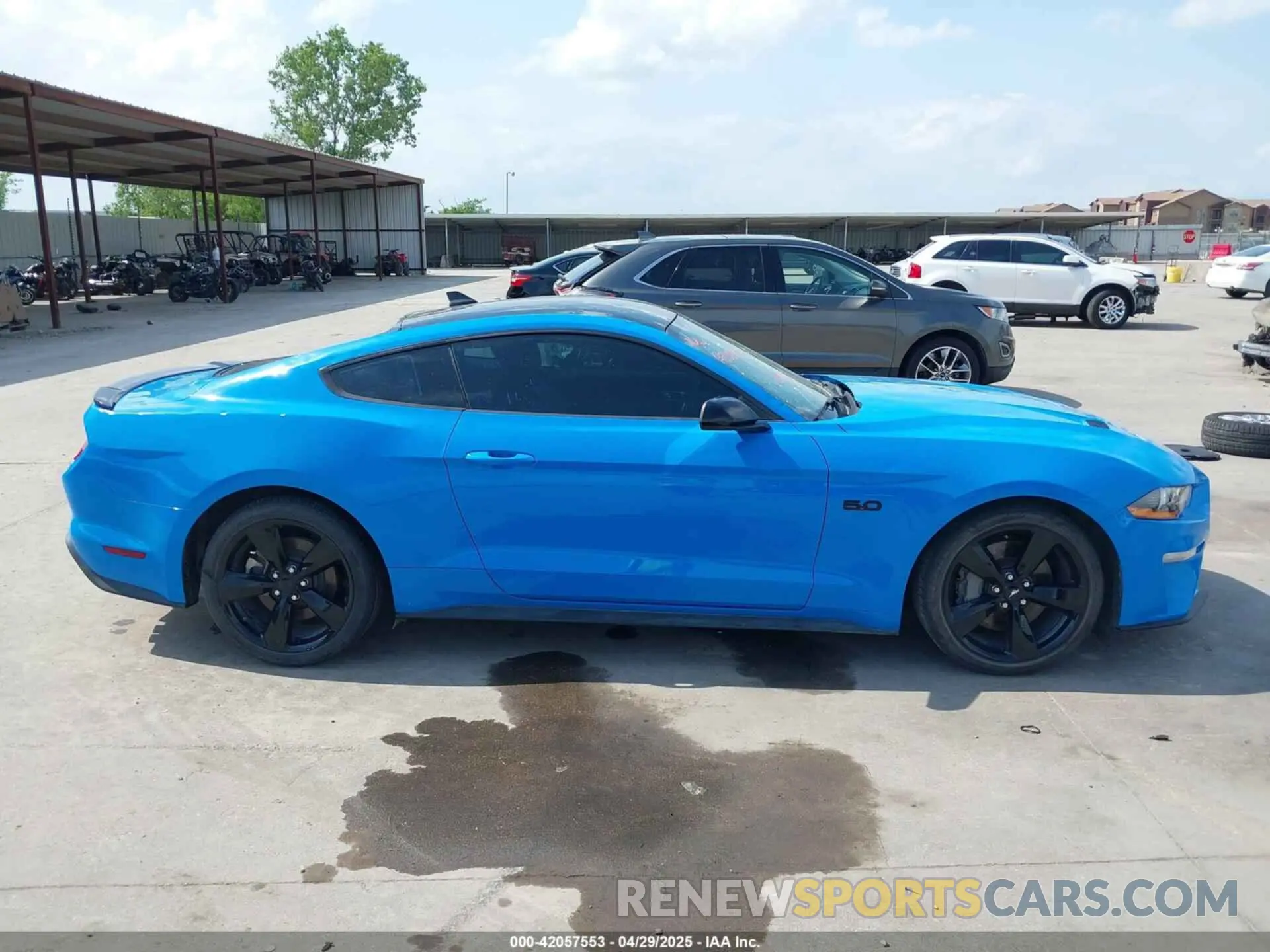 13 Фотография поврежденного автомобиля 1FA6P8CF4N5142081 FORD MUSTANG 2022