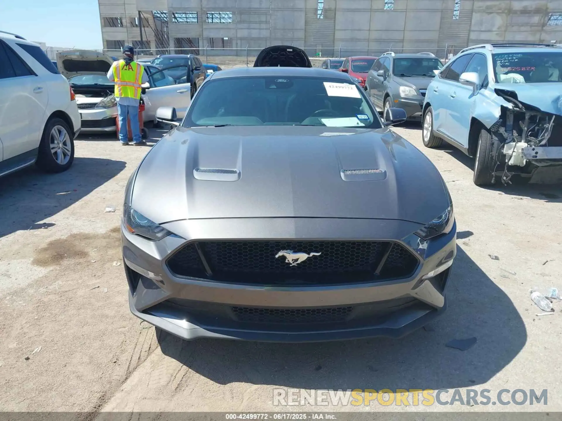 12 Photograph of a damaged car 1FA6P8CF5N5131087 FORD MUSTANG 2022