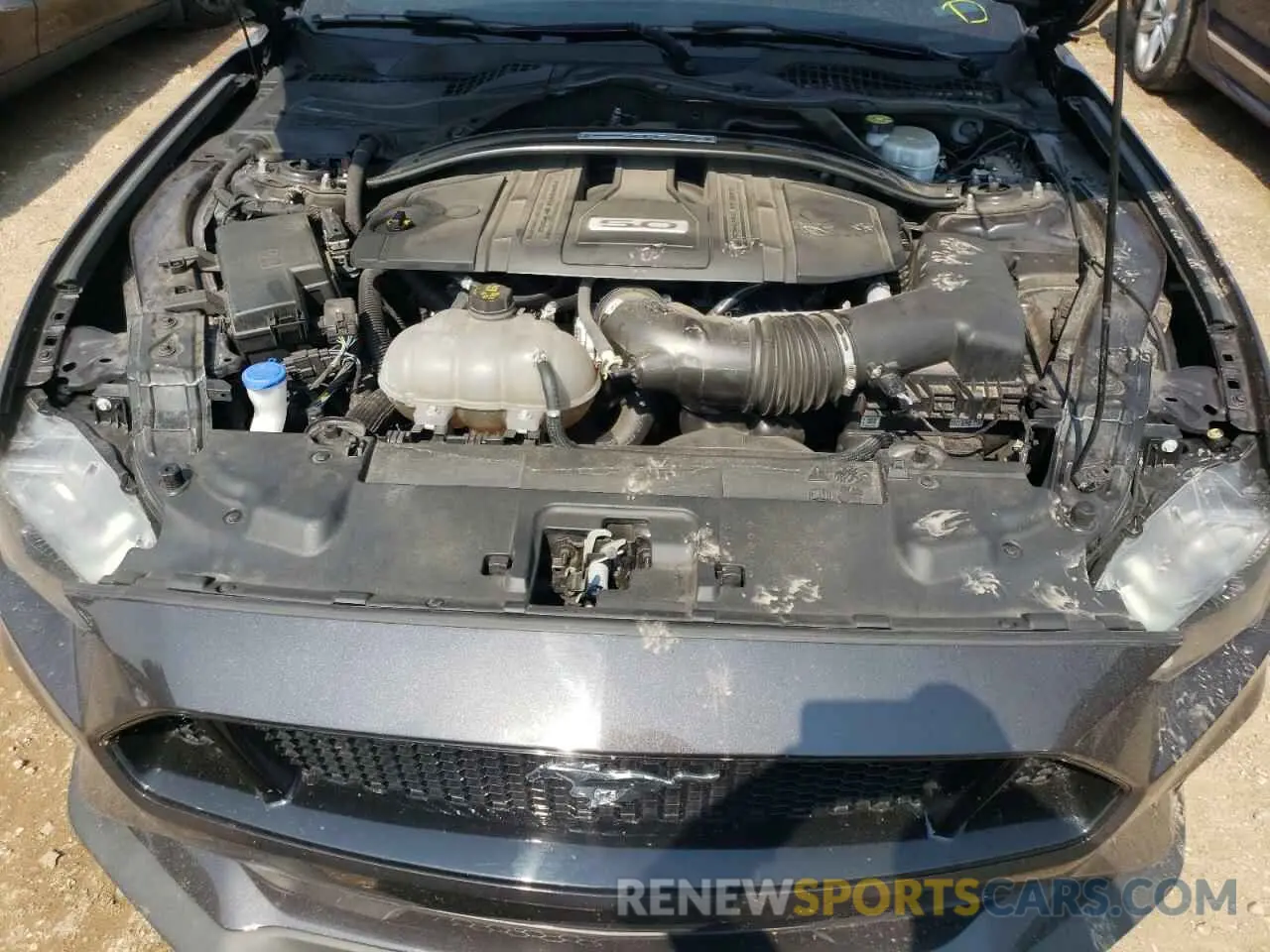 11 Photograph of a damaged car 1FA6P8CF6N5111611 FORD MUSTANG 2022