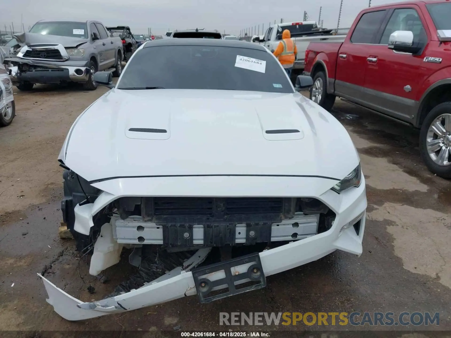 12 Photograph of a damaged car 1FA6P8CF8N5109343 FORD MUSTANG 2022